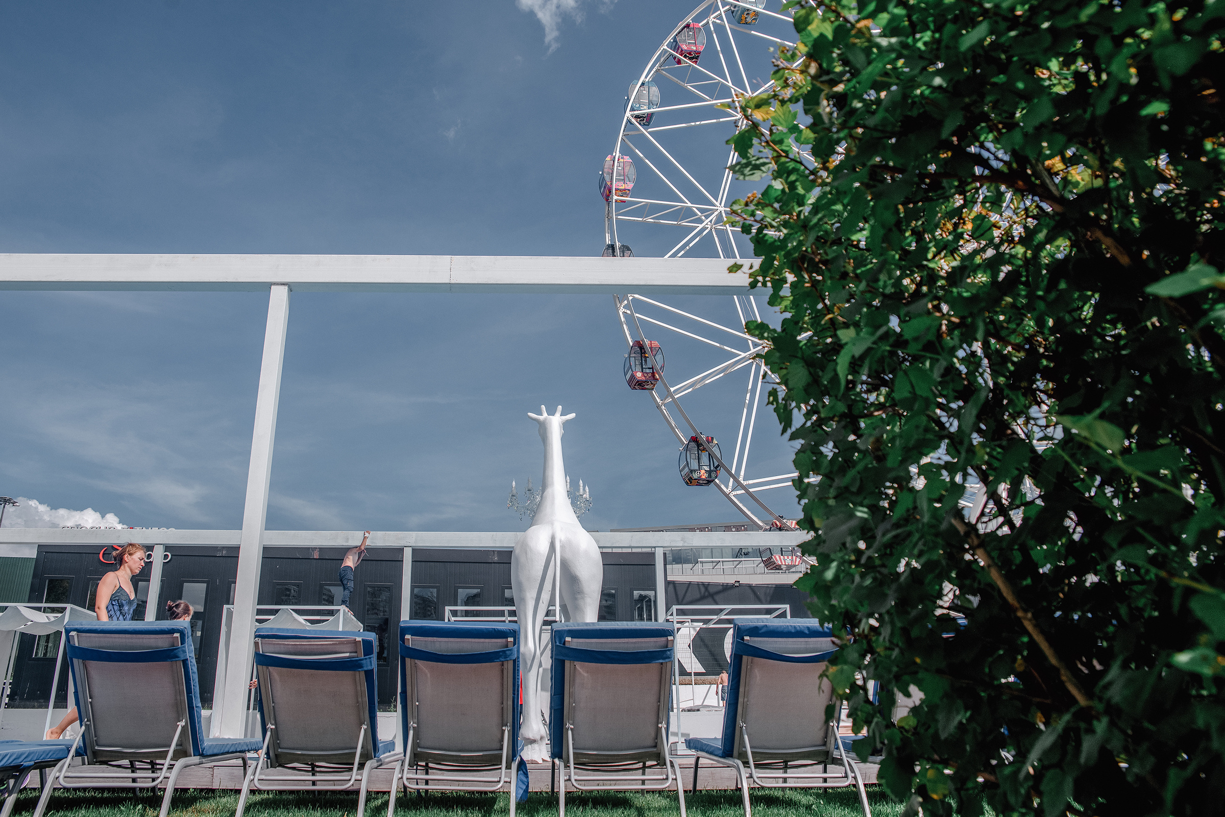 Виктория и Игорь. Фотограф и видеограф в Москве и МО — Евгений Лавров