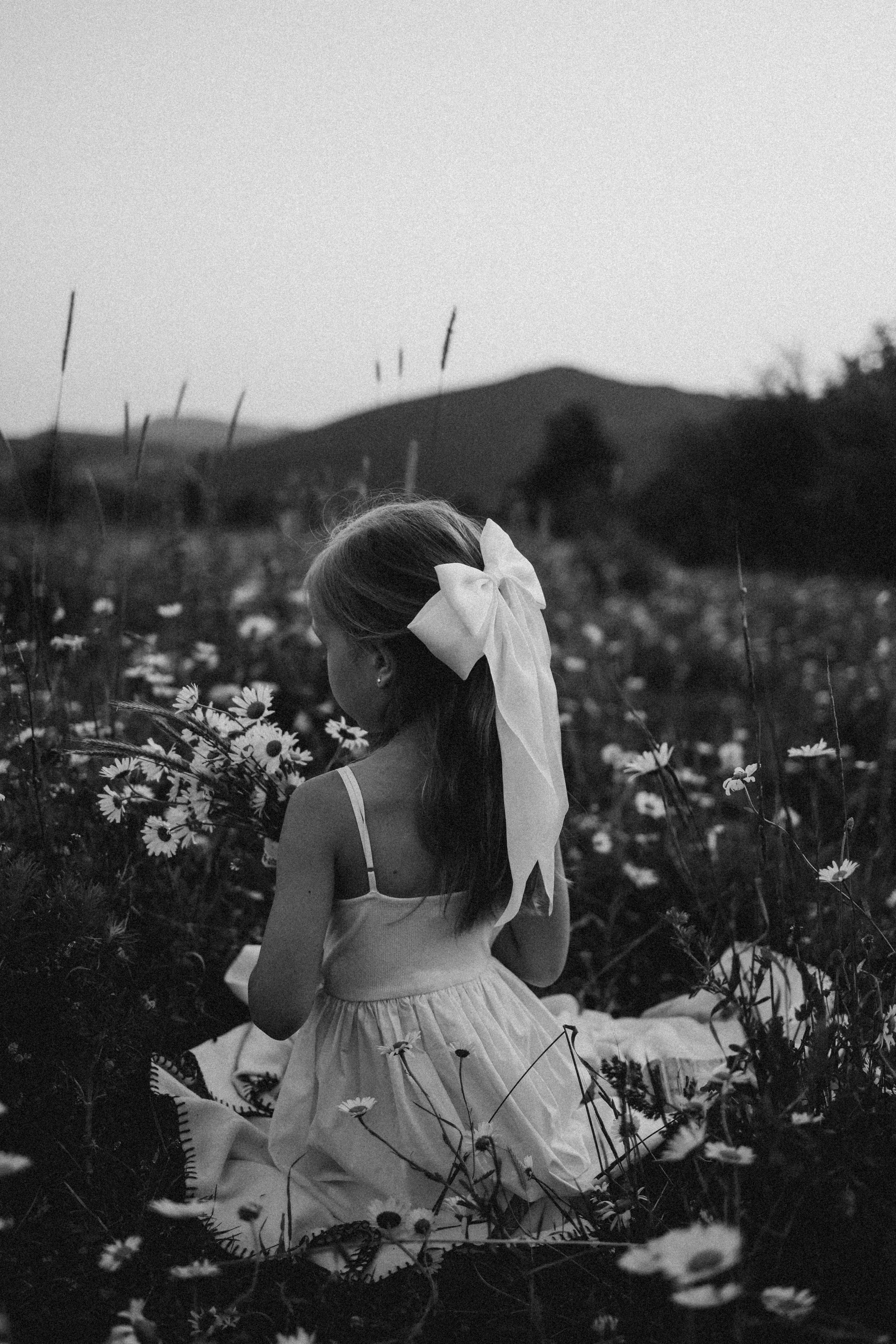 Ромашки. Фотограф Немазенко Ольга