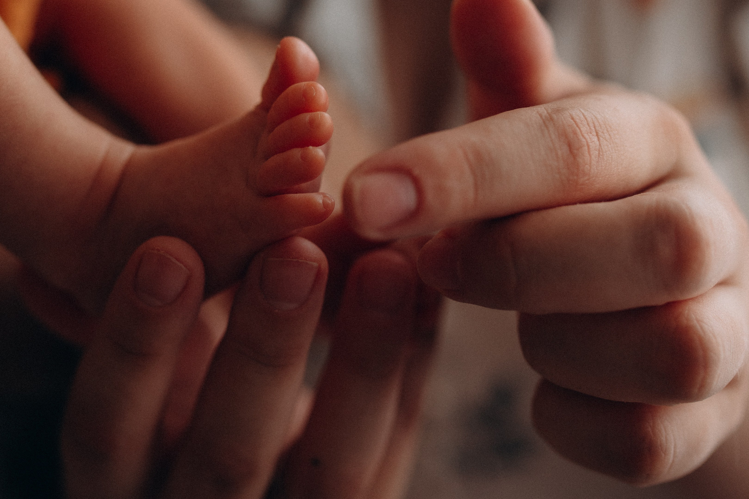 Прайс. Семейный фотограф в Москве и Люберцах Юлия Гуськова