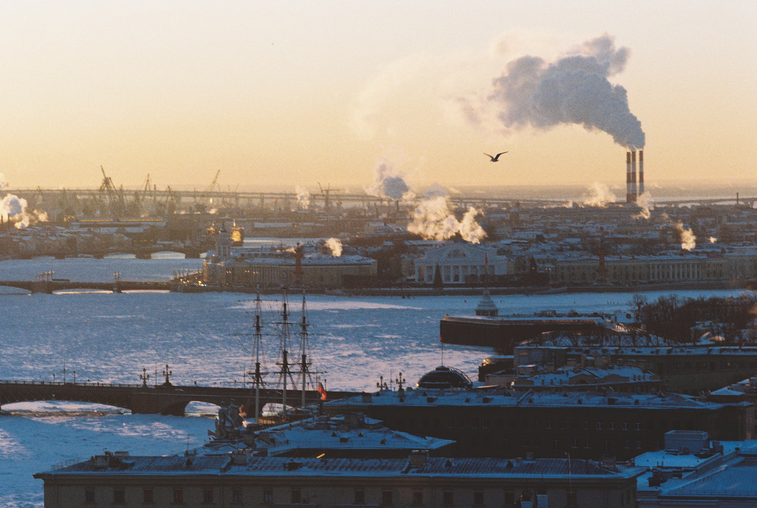 Фотографии цветные. Свадебный и семейный пленочный фотограф в Петербурге Истомина Ирина