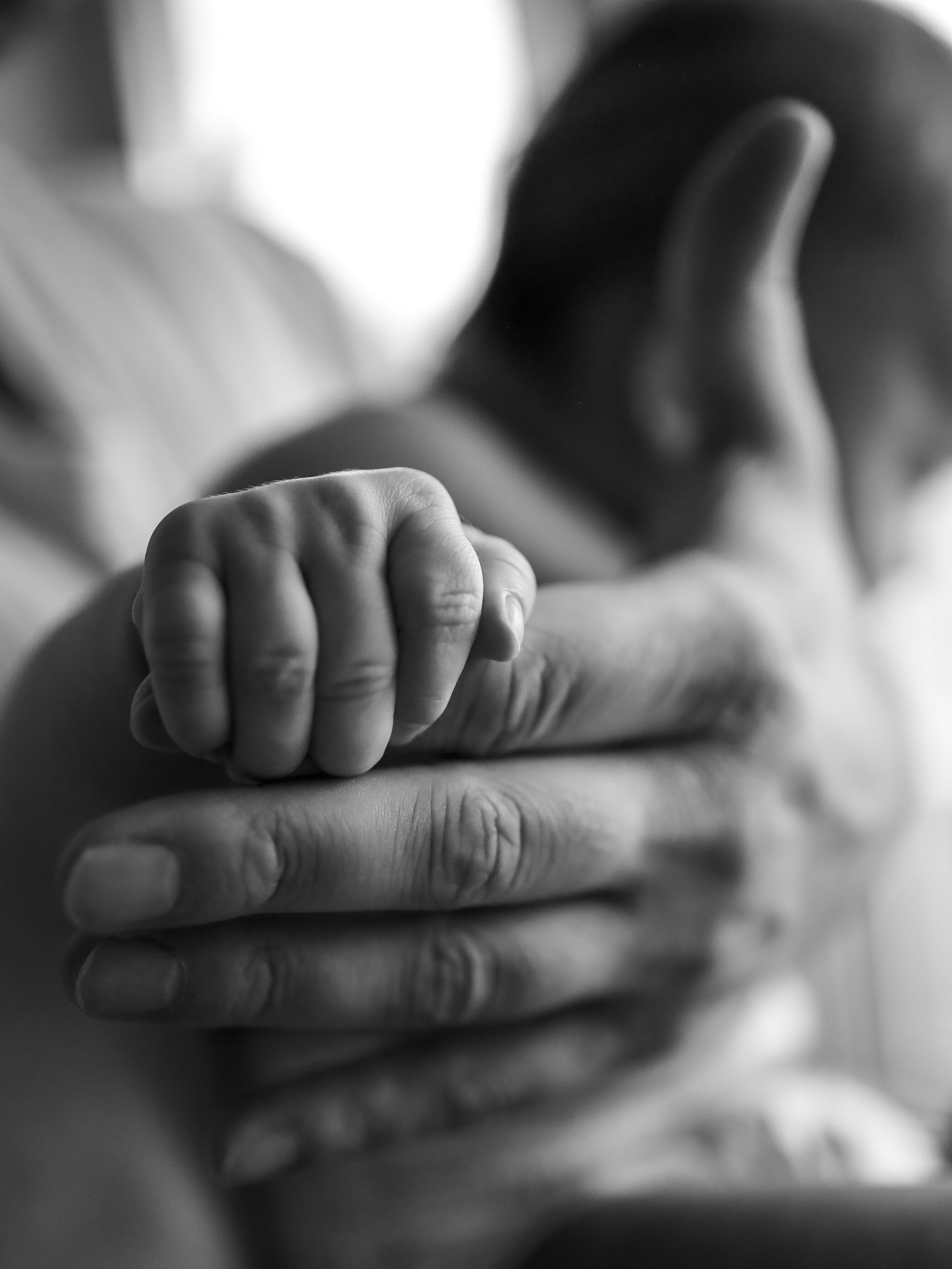 Мирошка. Фотограф в Петрозаводске Вероника Манакова