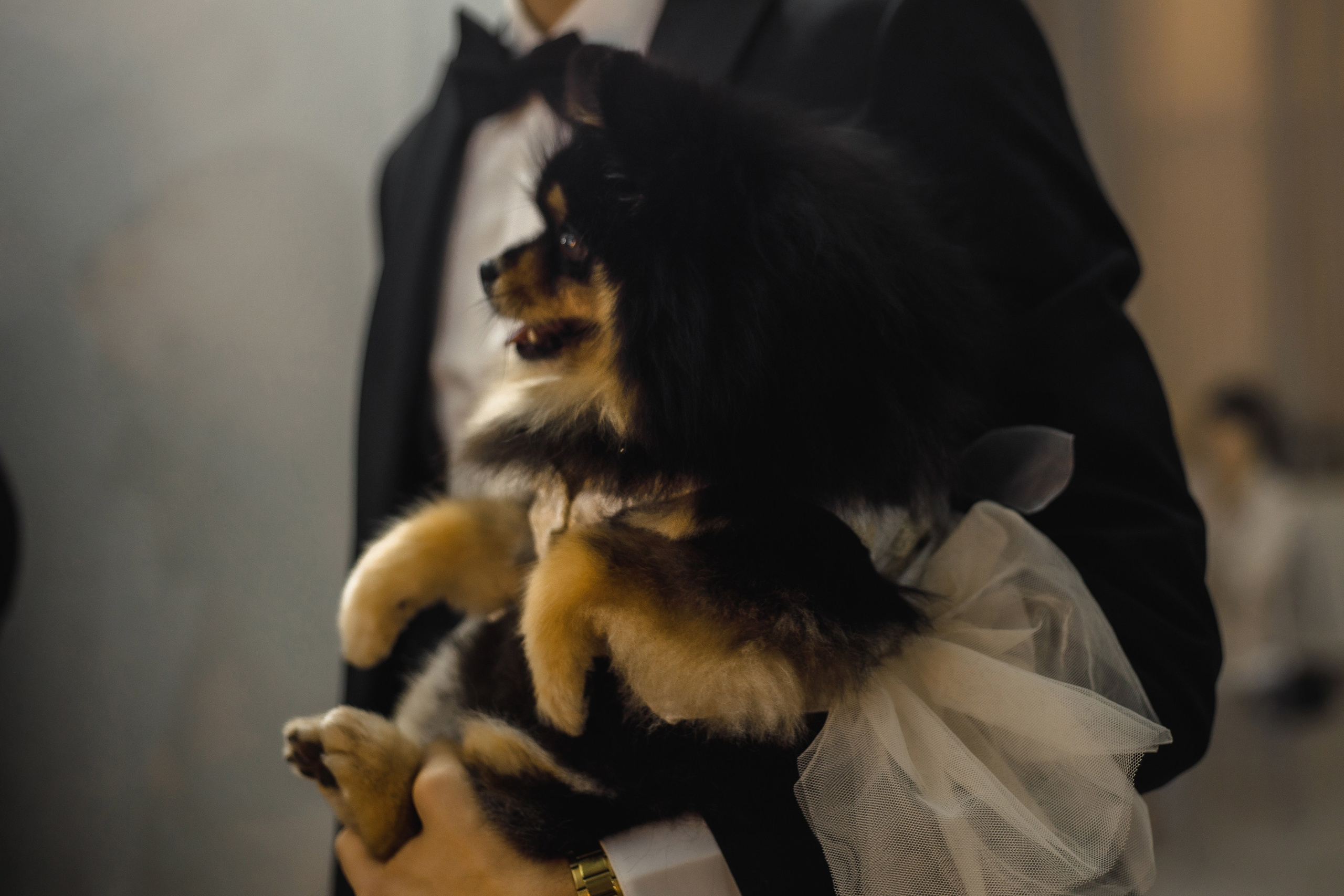 A|T. Свадебный и семейный фотограф в Саратове Анжела Борисова