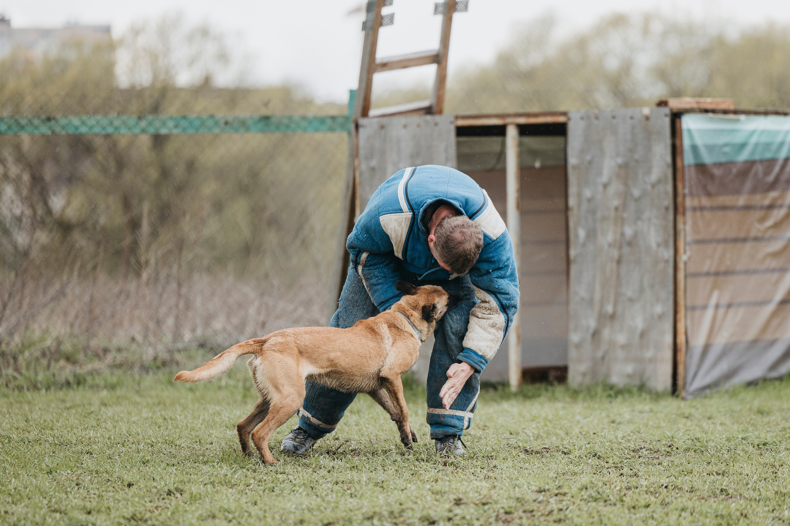 09.05.25 Вологда соревнования. Фотограф-анималист Анна Маринич