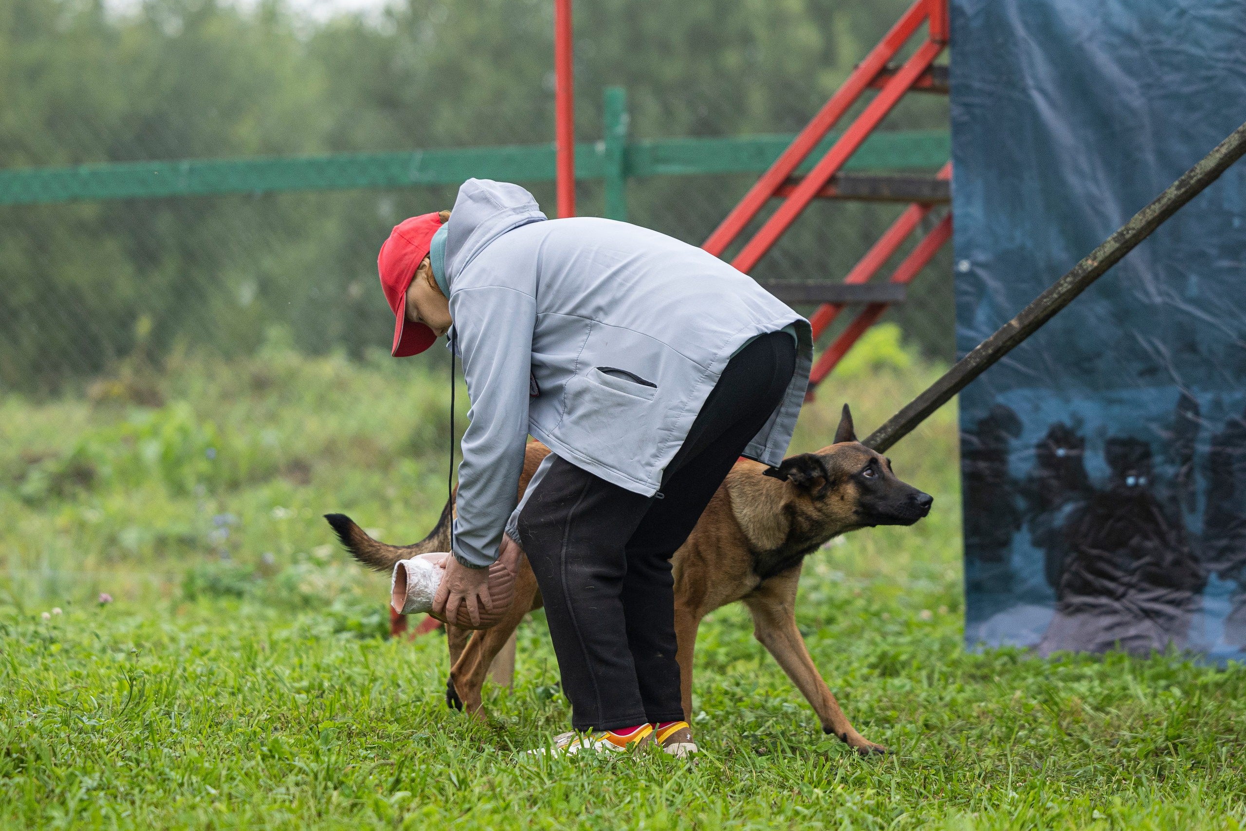 Соревнования по Мондьорингу г. Вологда 10-11.08.2024. Фотограф-анималист Анна Маринич