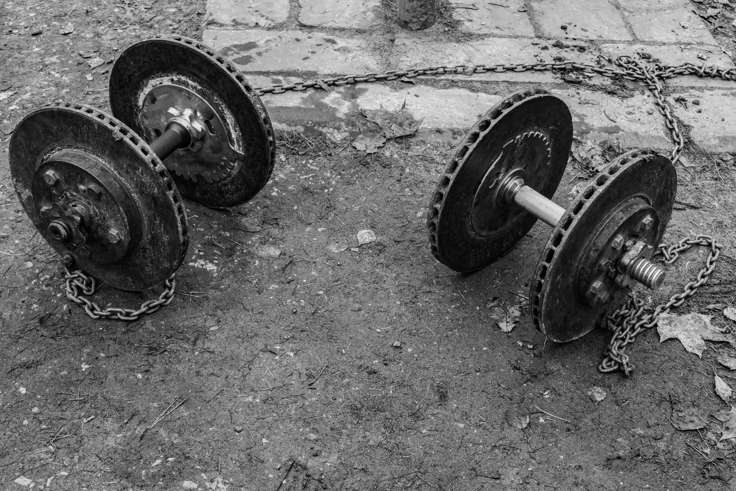 Качалка в лесу — 2022. Стас Привалов