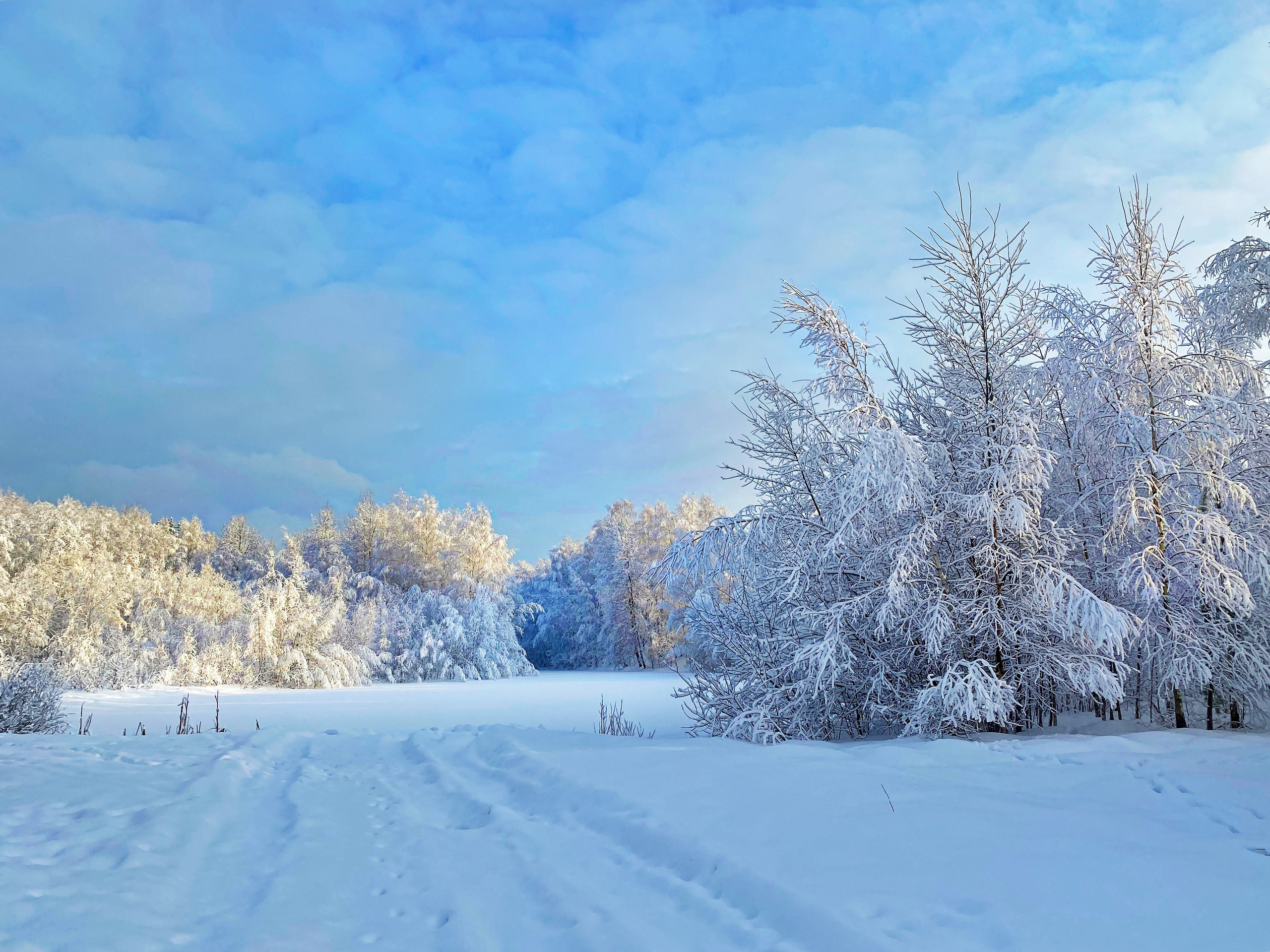 ПРИРОДА. Слепки времени. Фотографии природы и событий. Москва. Сергей Аллагулов