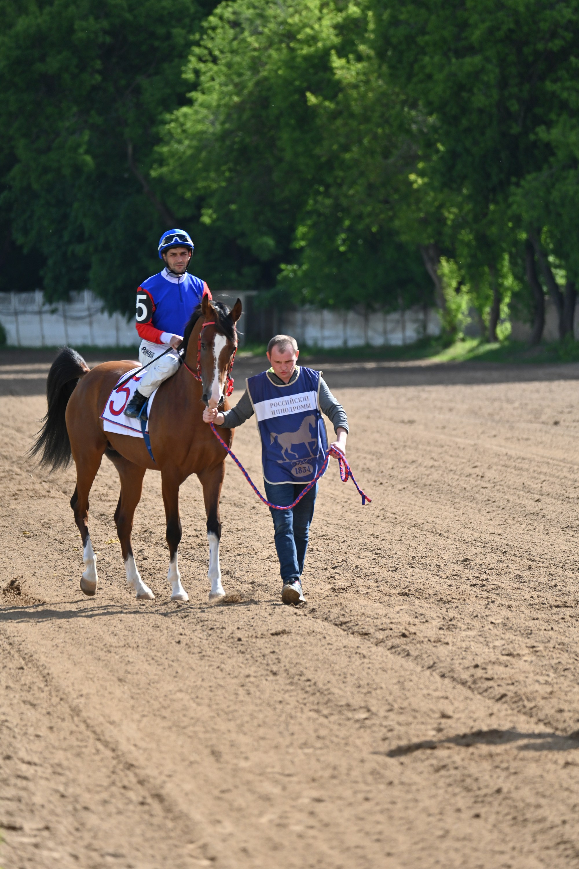 Ипподром (Москва). Fotolux