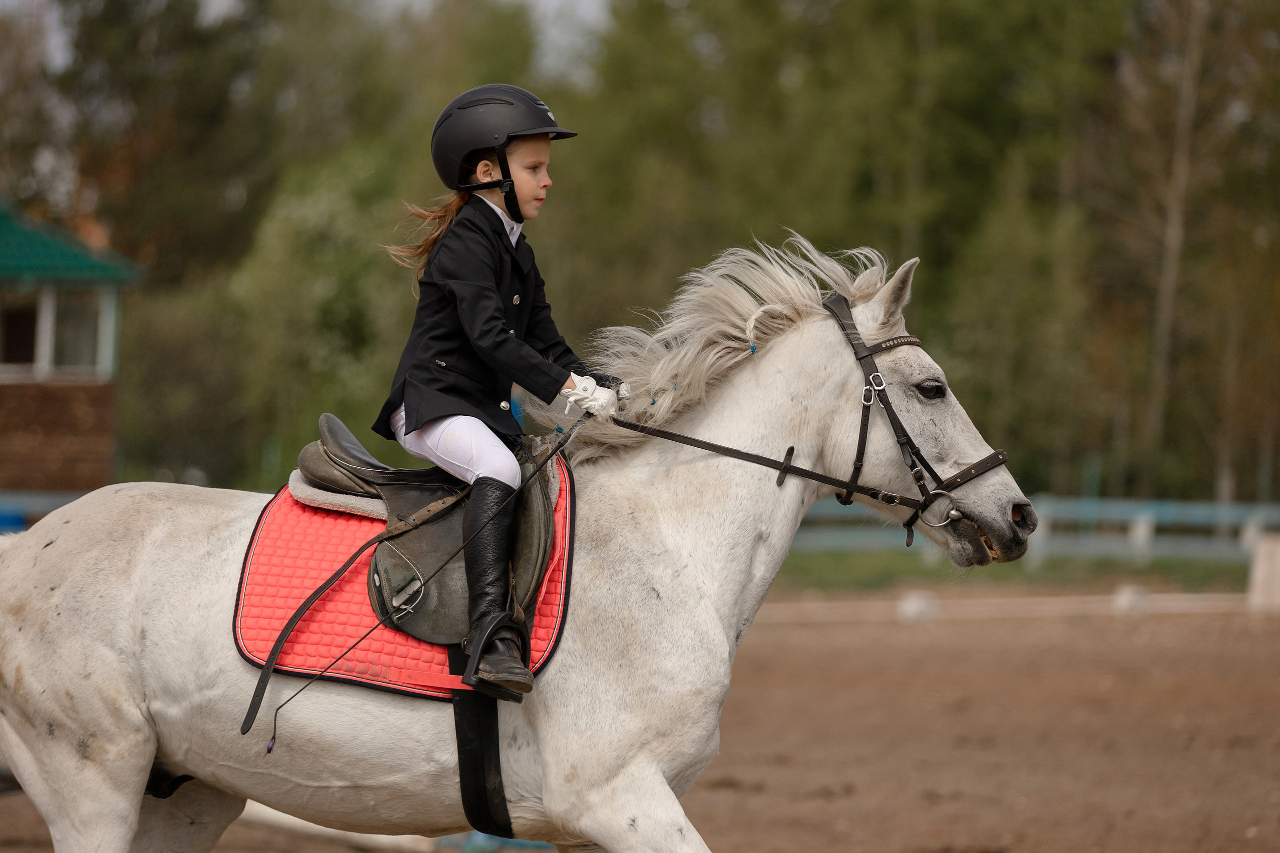 Соревнования по конному спорту. Конный фотограф Валынкина Лера