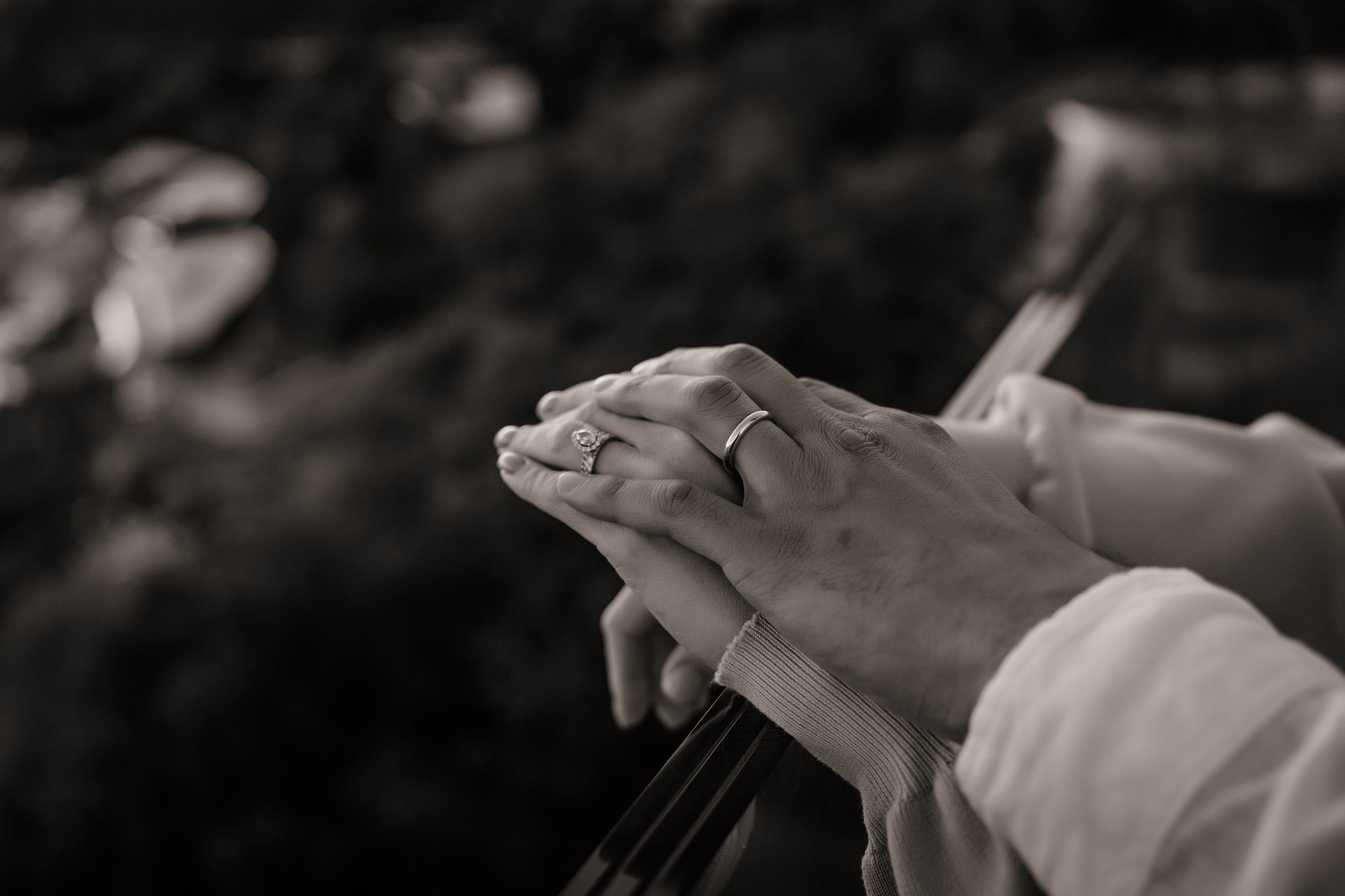 Винный парк (территория отеля Мрия). Фотограф и Видеограф Севастополь Крым