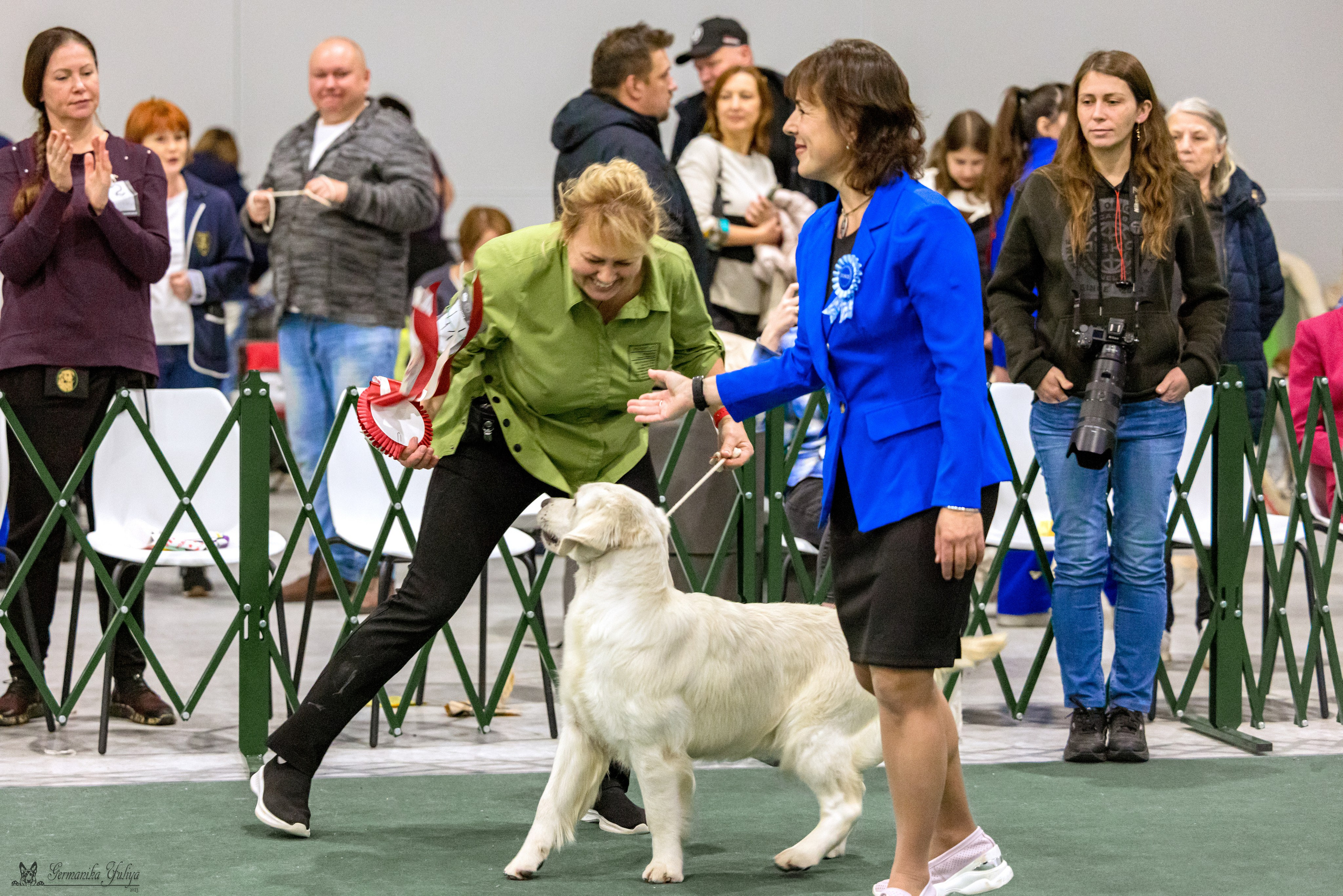 Сфера 29.10,Крокус 4.11,Сфера 12.11.2023. Фотограф-анималист Юлия Германика