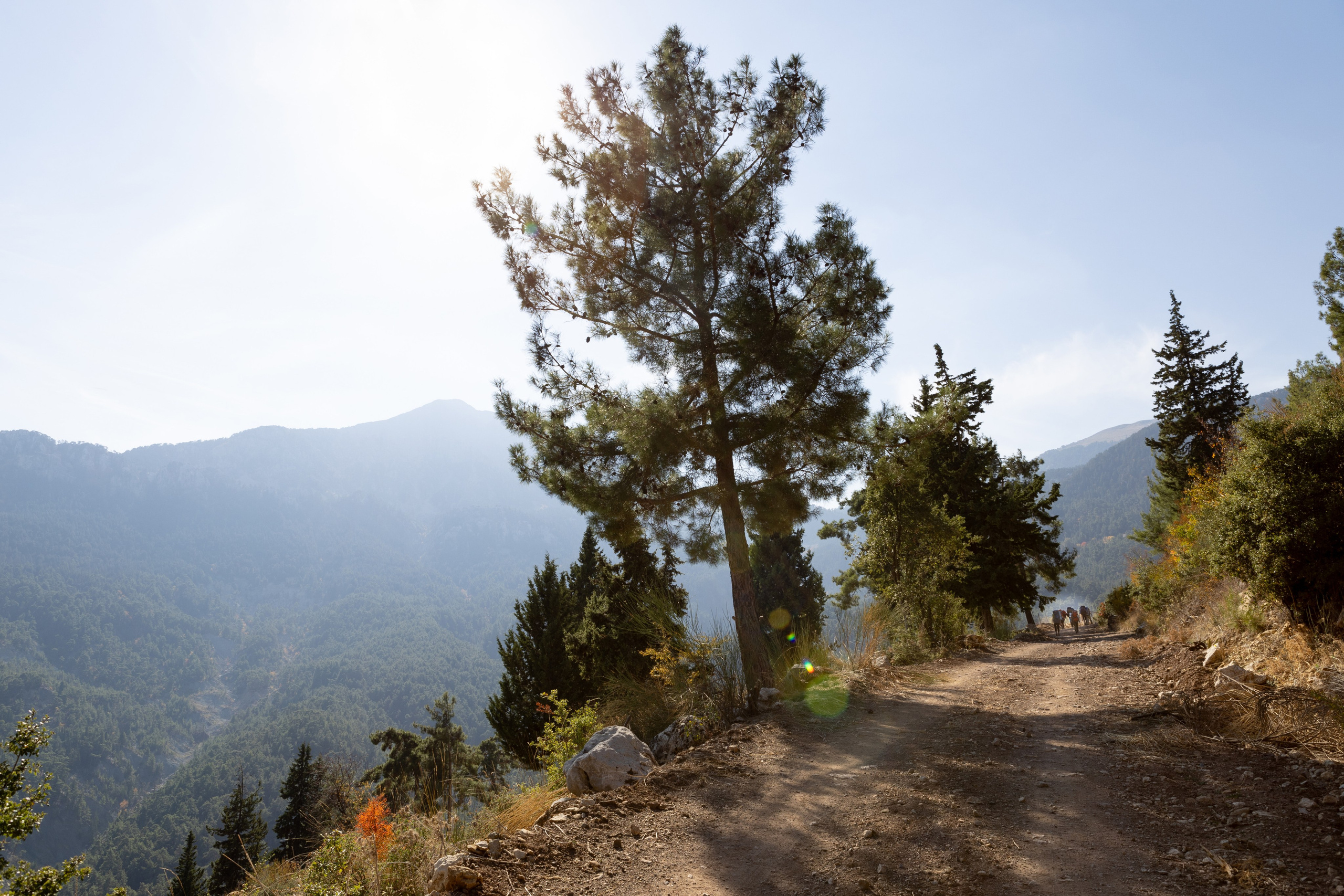 Travel. Индивидуальная и семейная съёмка. Москва, Наталья Самохвалова