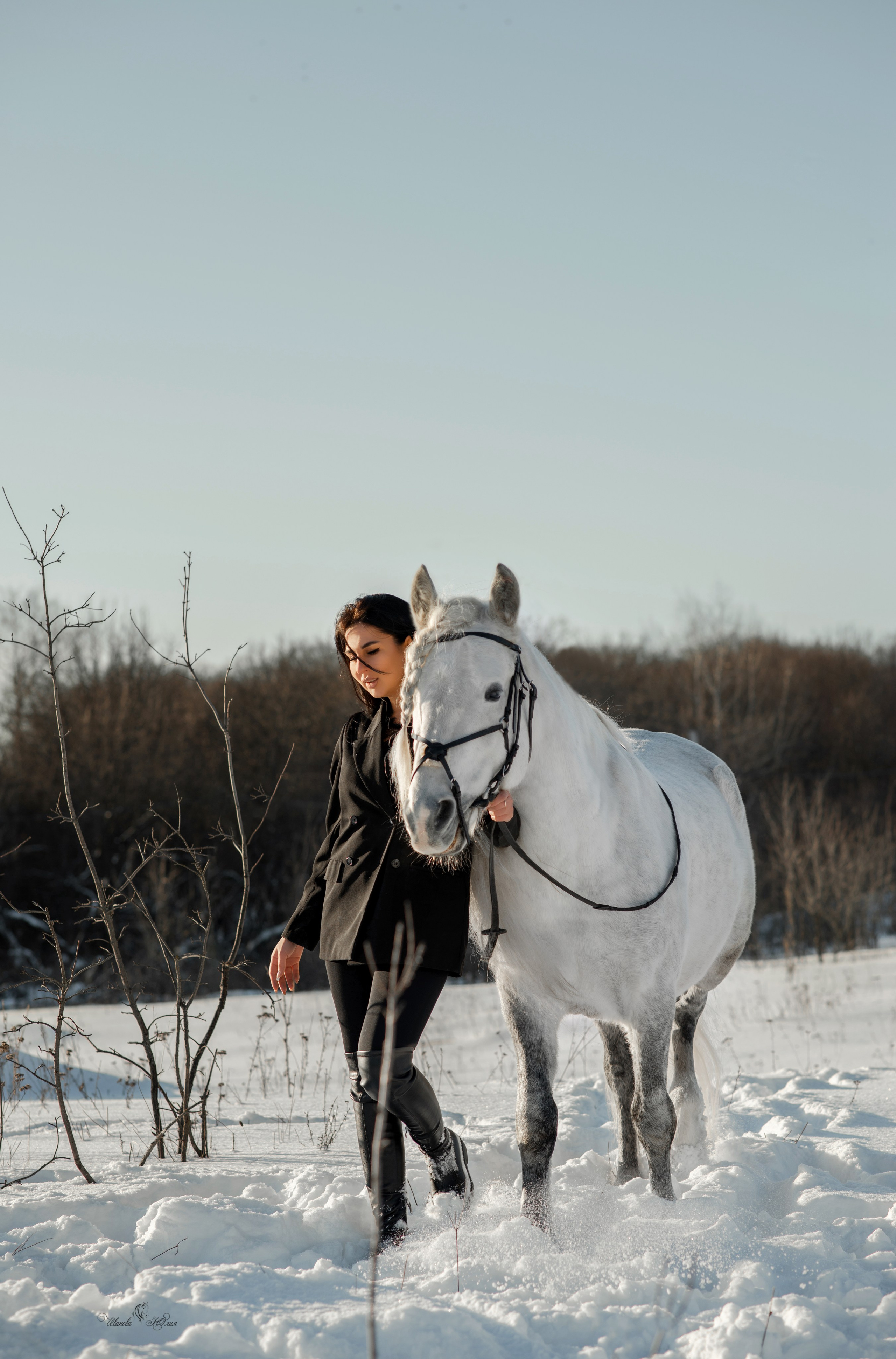 Владлена и Вымпел. Конный фотограф в Саратове Юлия Иванова