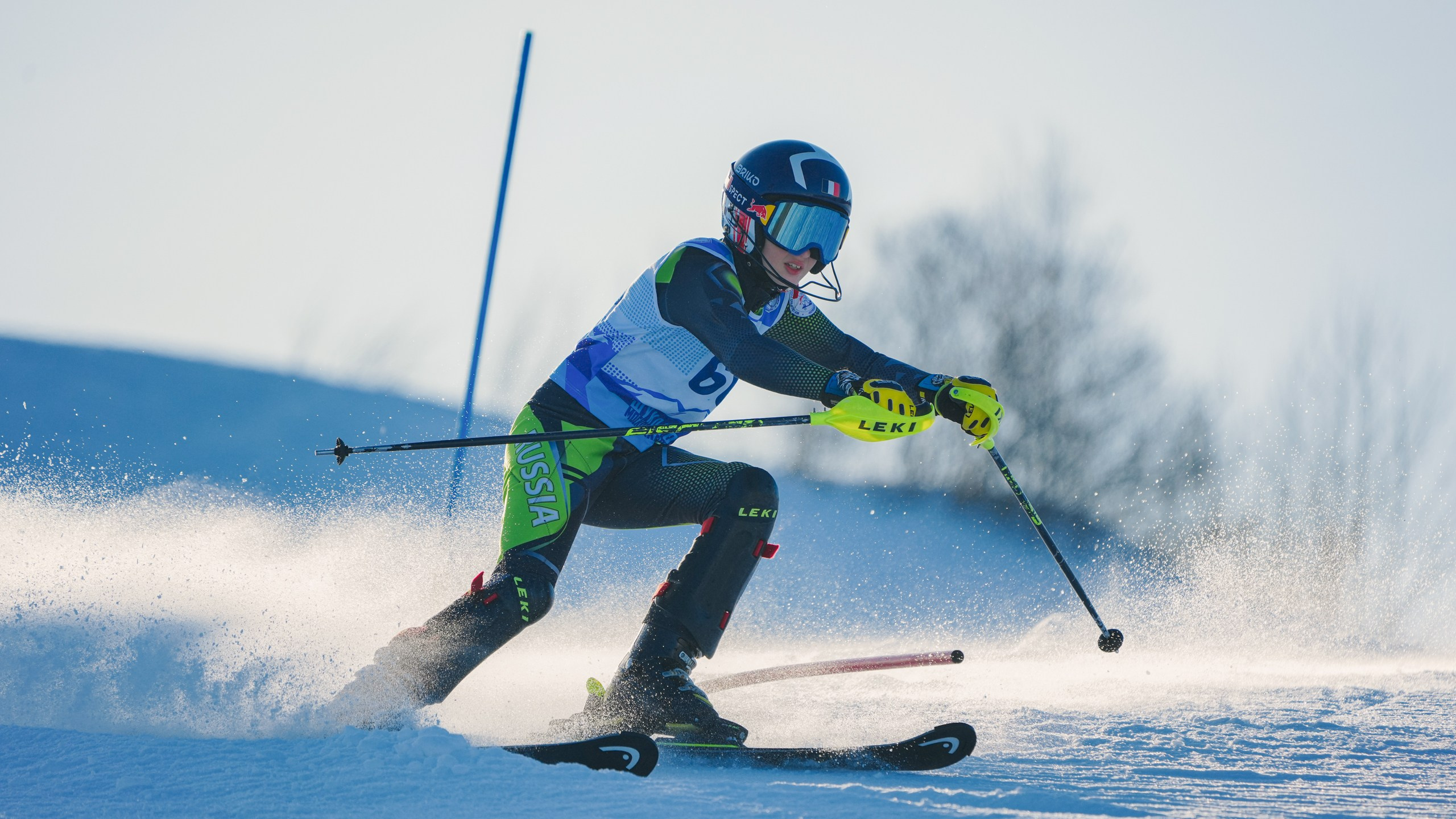 SL (Slalom) - Слалом. Соревнования по горнолыжному спорту. Московская область, Шуколово