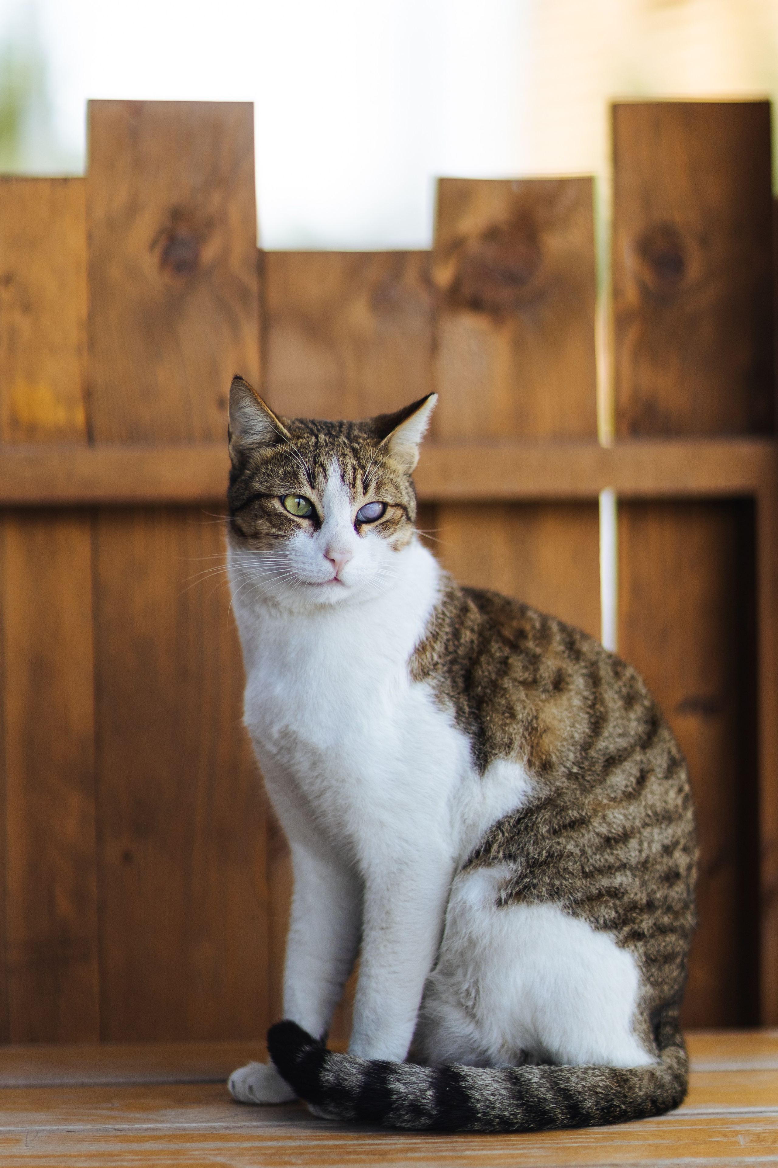 Дубай 2023. Руслан Плахтеев