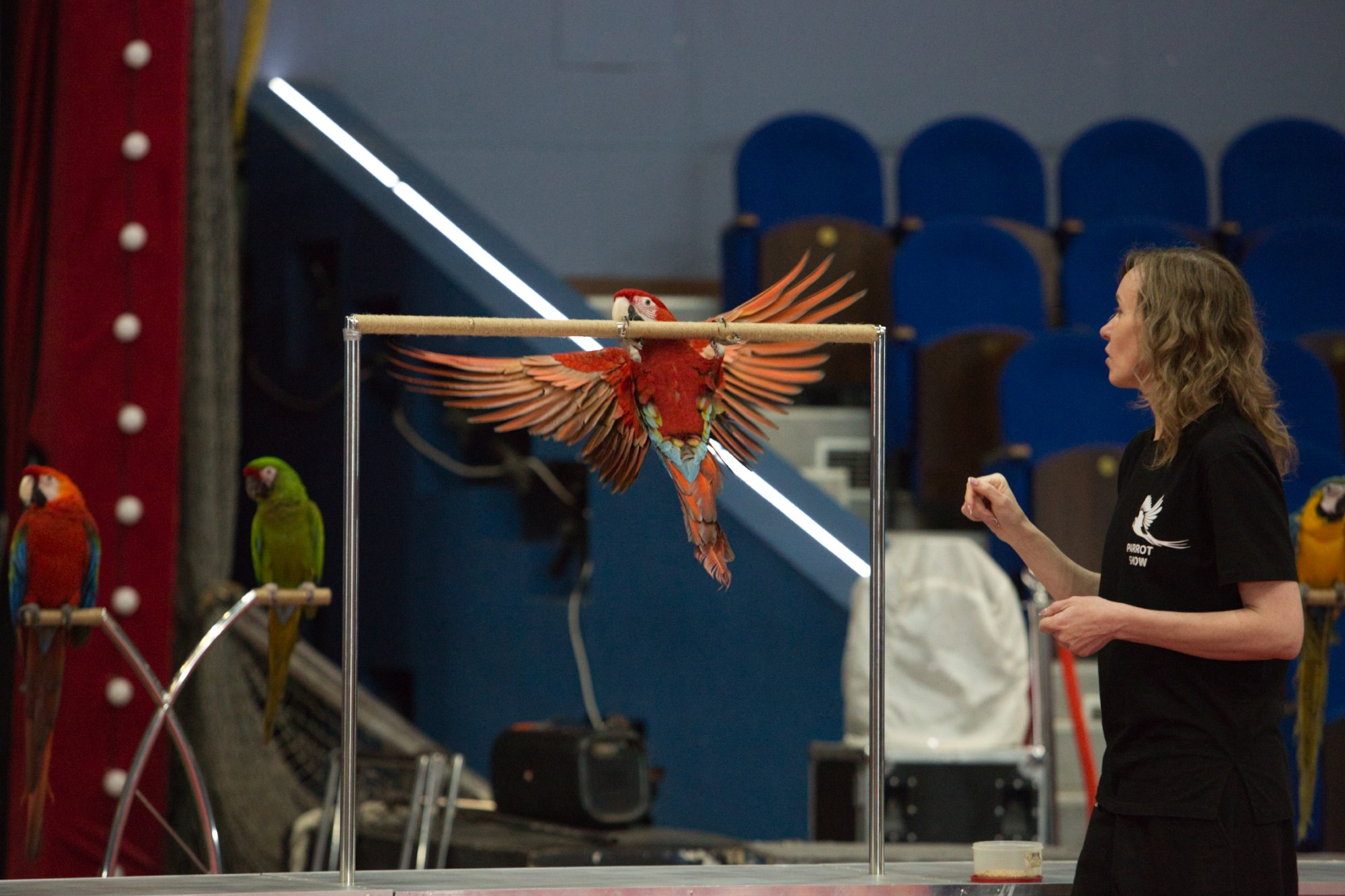 СПОРТ и ЦИРК. Портретный, свадебный, репортажный фотограф во Владивостоке Юлиана Джули Фокс