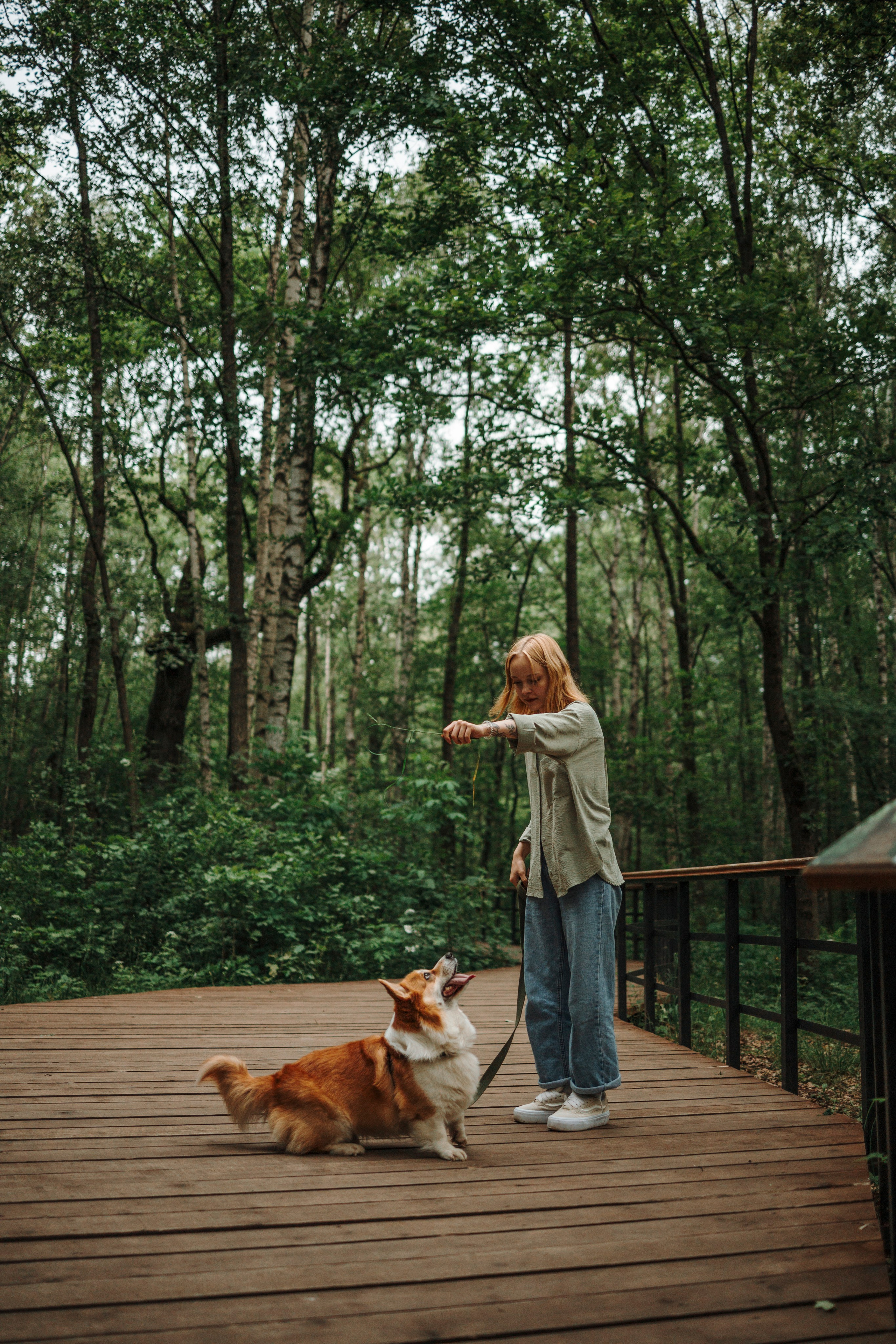 Даша и корги Рудик. Фотограф-анималист в Санкт-Петеребурге Титова Алиса