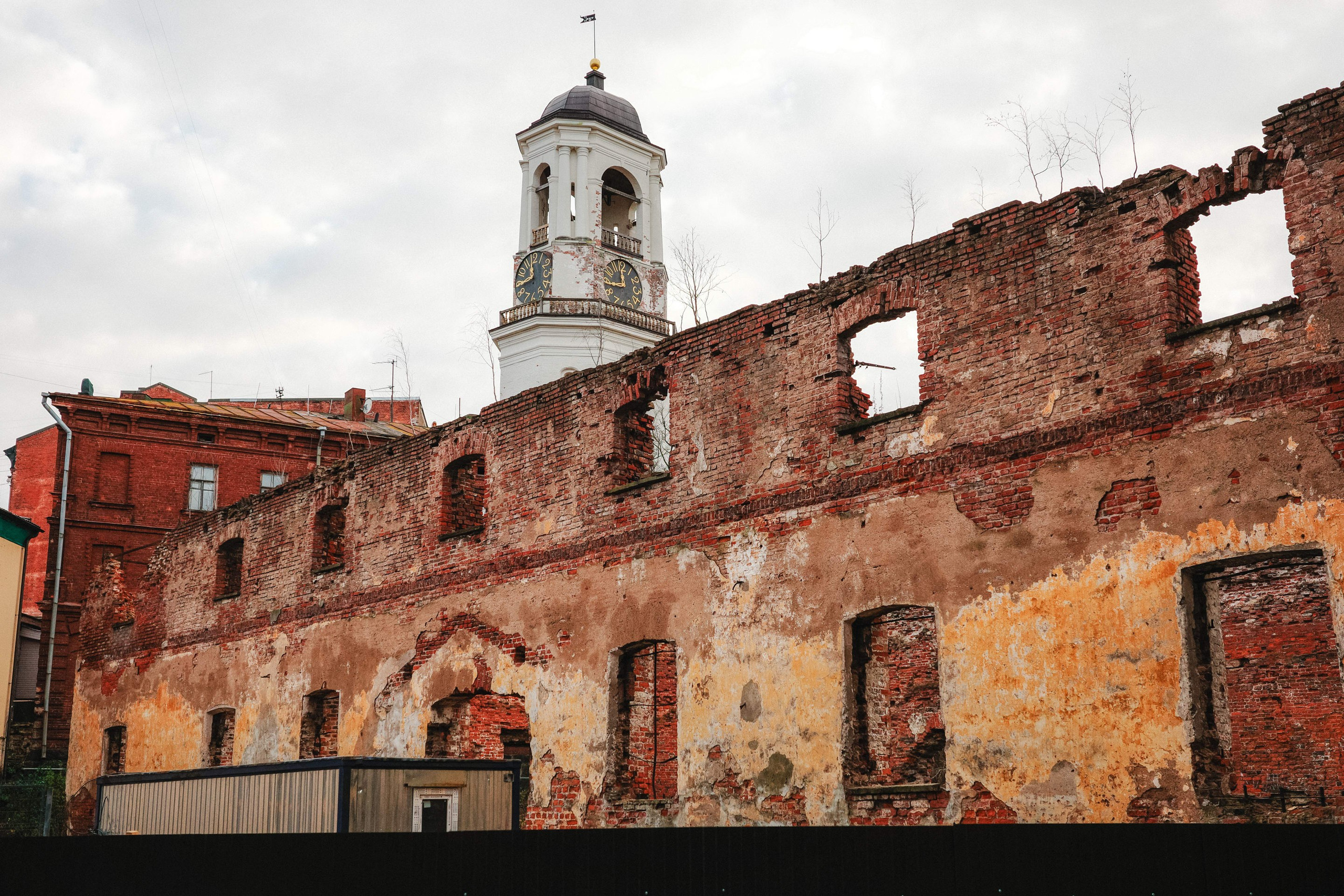 2024.11. Фотограф Алексей Алексеев