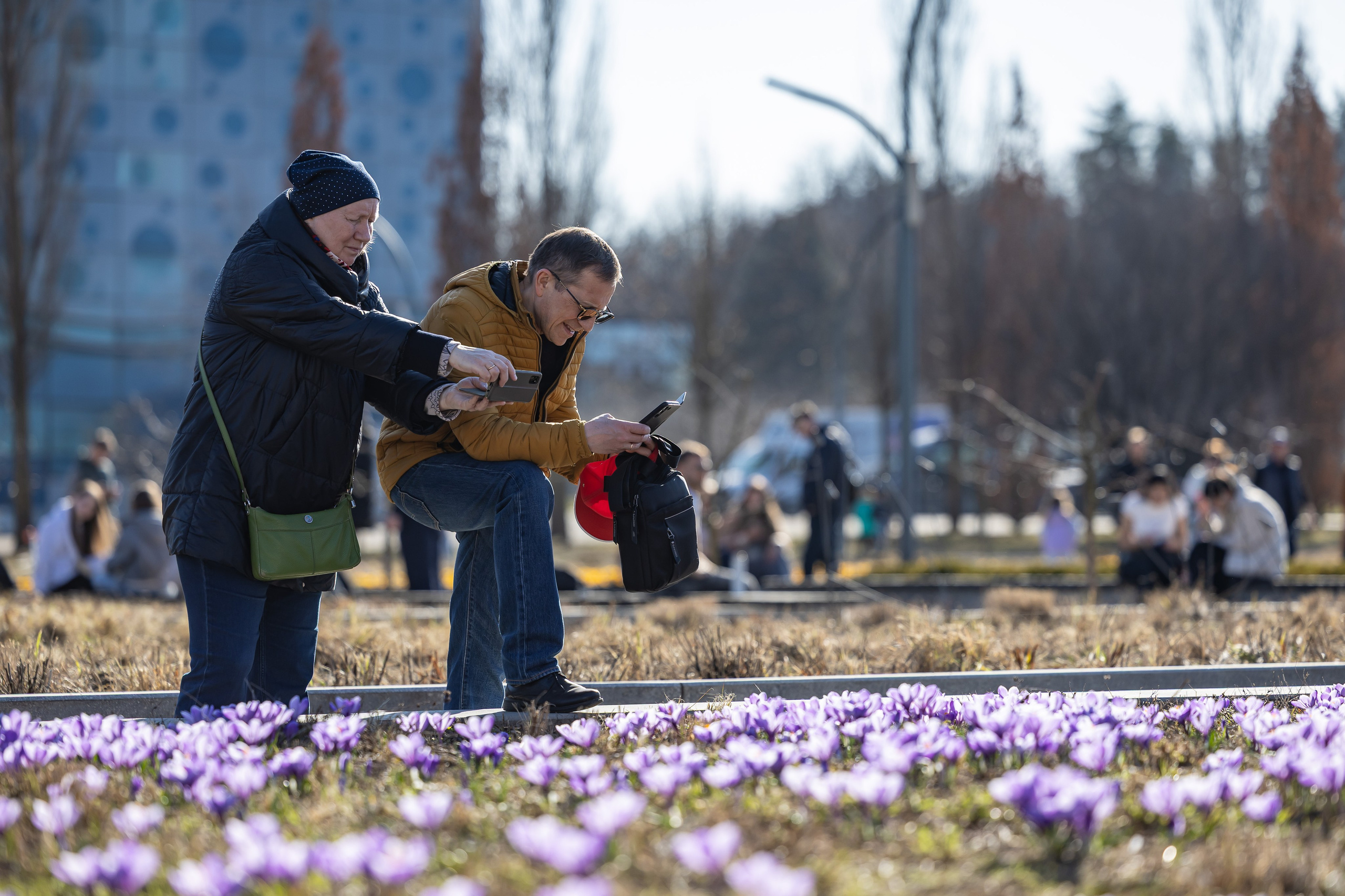 Городской пейзаж. Фотограф Владимир Охрименко
