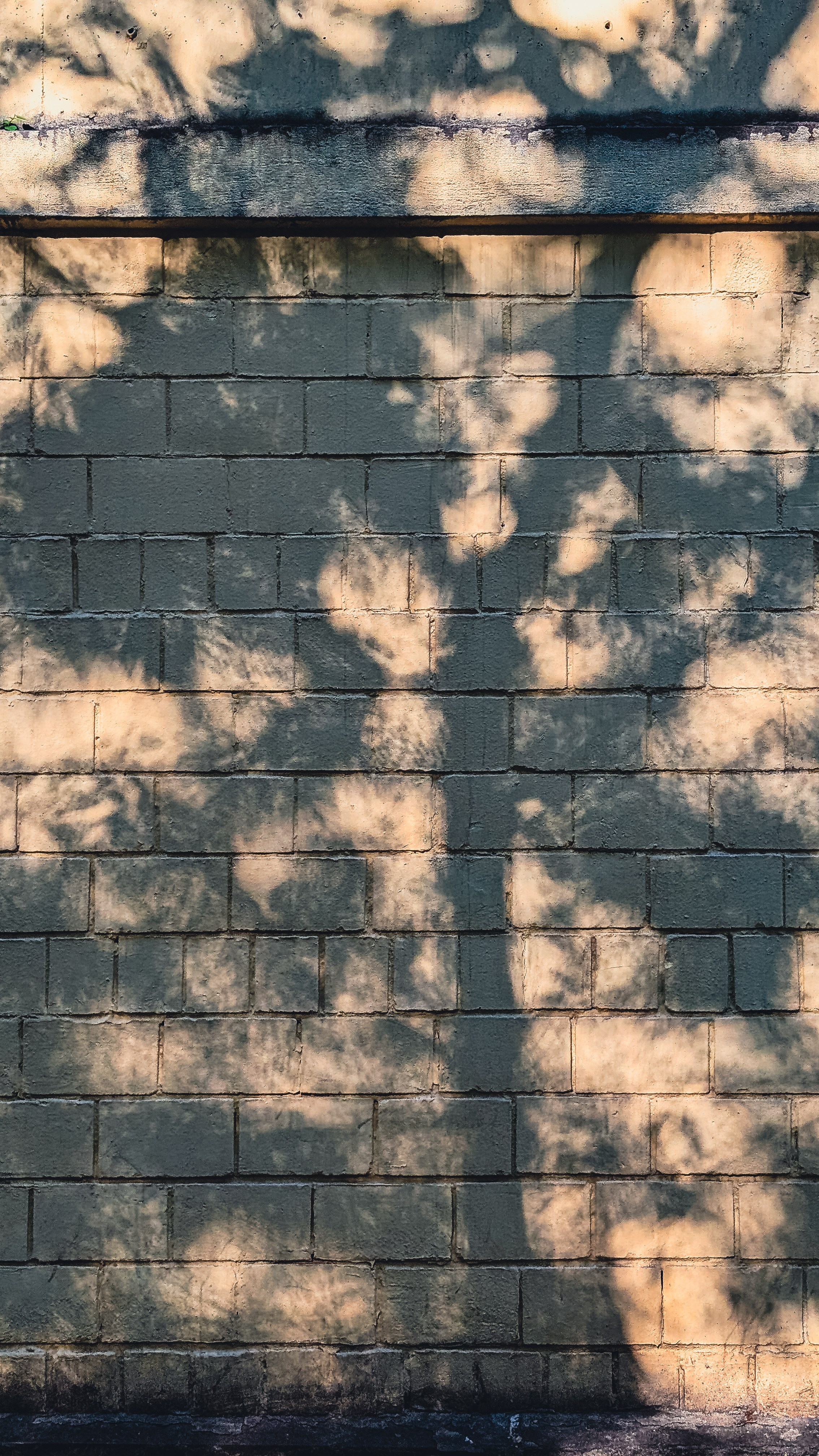 Мобильная фотография. Интерьерный и портретный фотограф в Москве Анна Моногарова