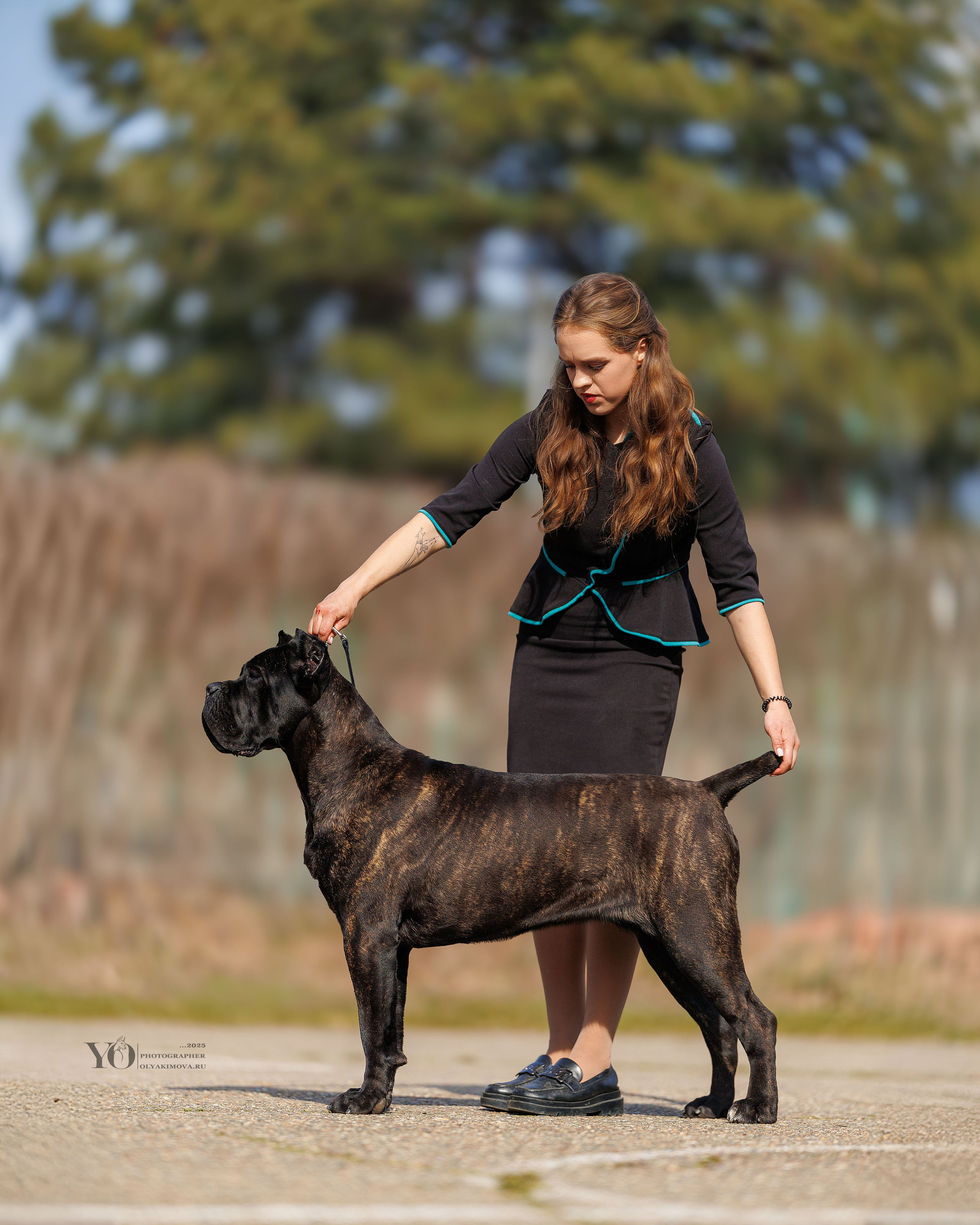 Экстерьер. Фотограф