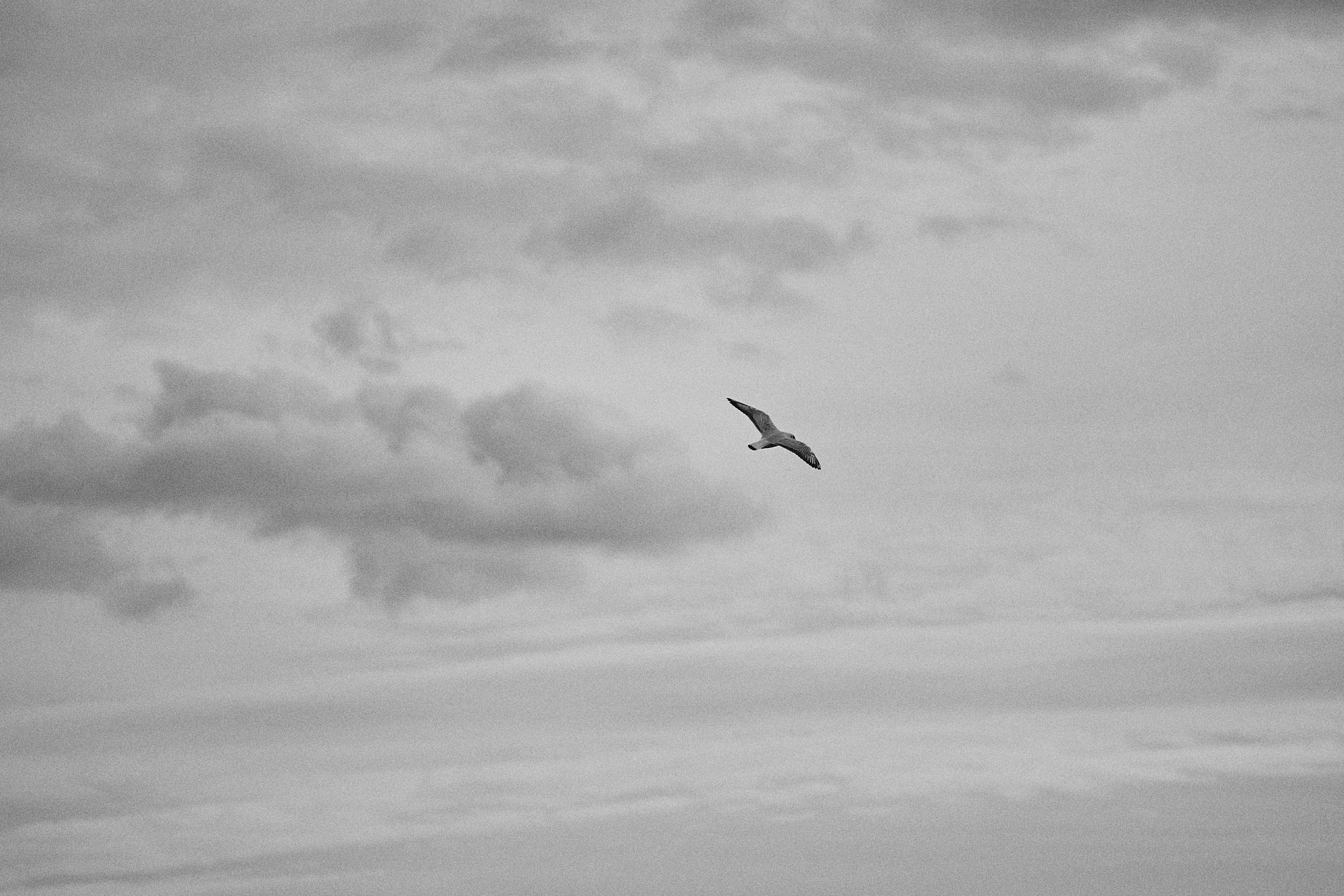 Танцуй со мной. Фотограф Елена Краснопевцева