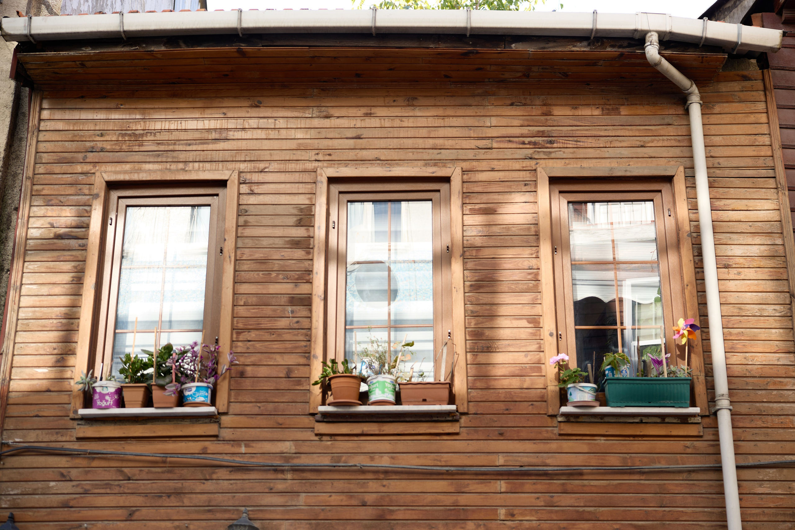 Стамбул 24. Фотограф Москва, Дима Пеллер