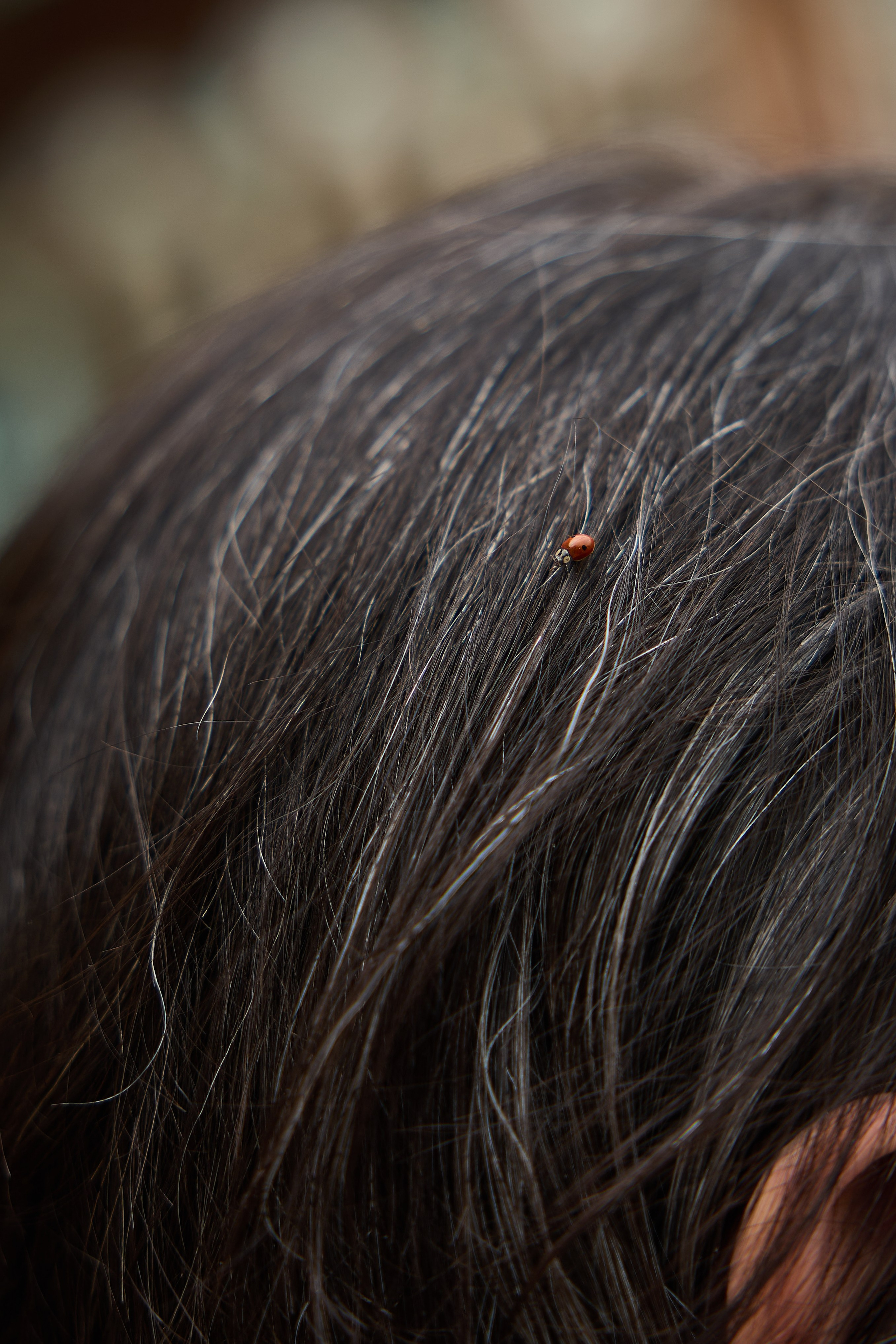 Максим и Софья. Kharchenkotatianaweddingphoto