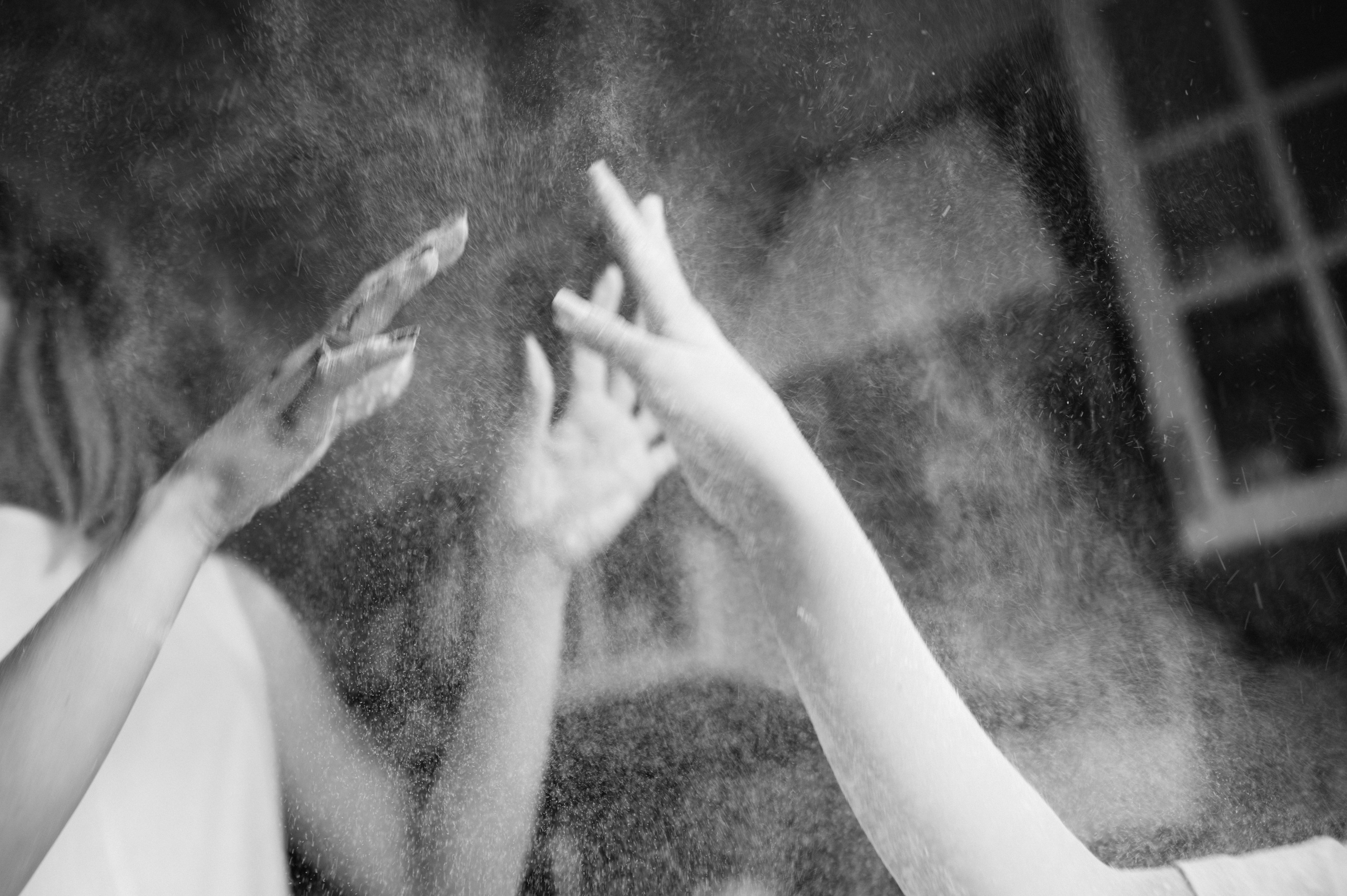 Даша, Диана, Дебби и маленькая крыска. Фотограф анималист в Москве Ольга Агушева