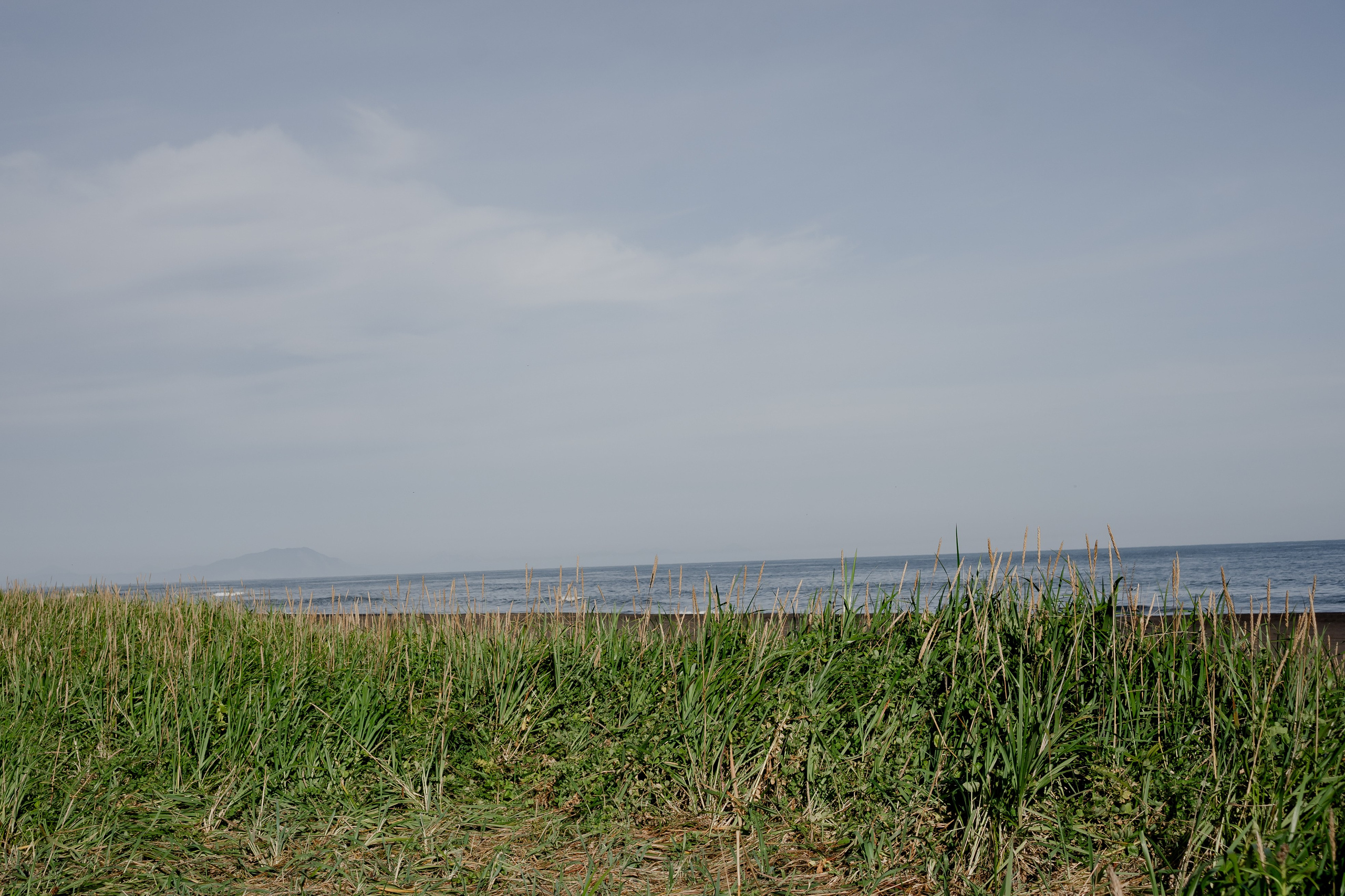 Мыс Маячный на Камчатке. Профессиональный фотограф, Санкт-Петербург — Виктория Богомолова