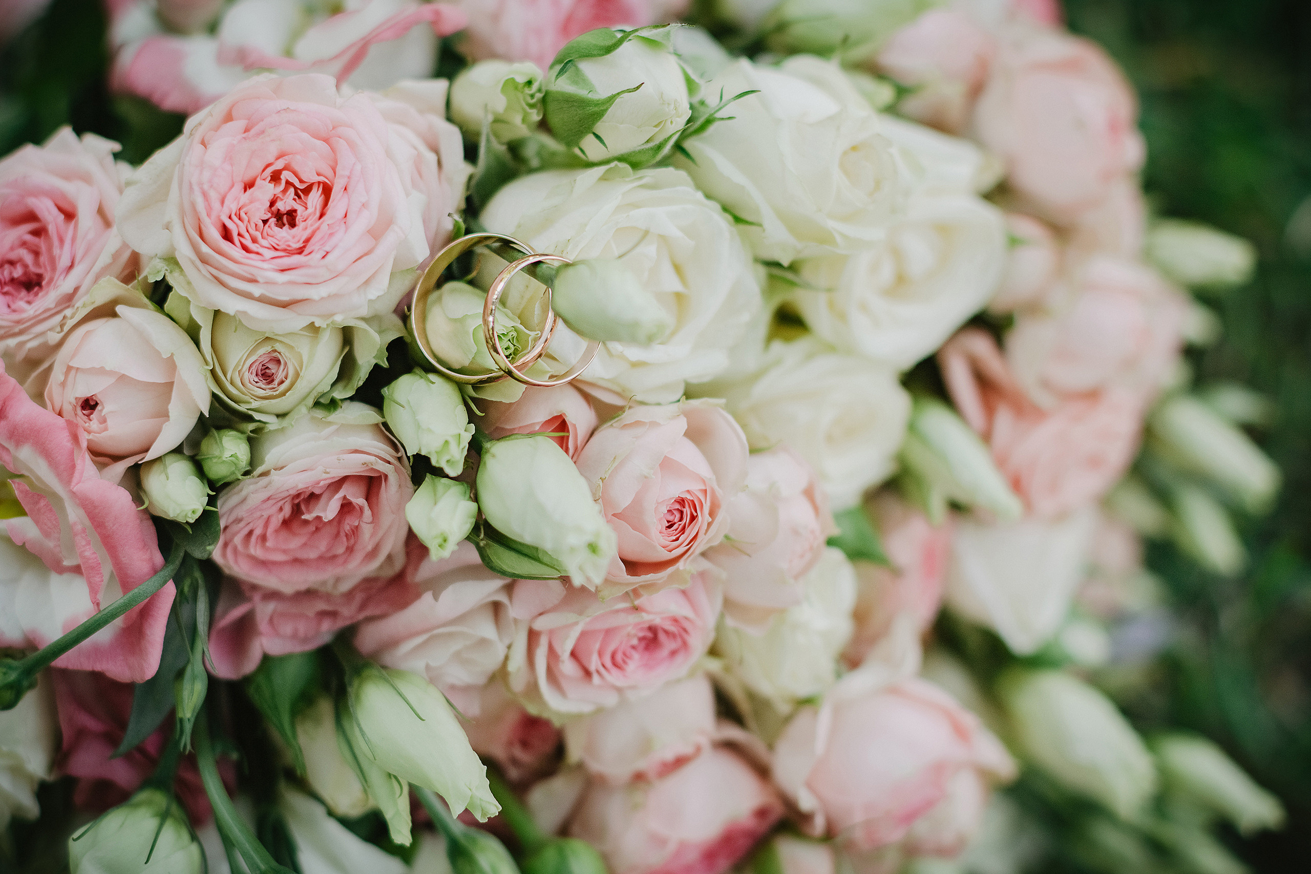 Свадьбы. Свадебный и семейный фотограф в Саратове Злата Терещук