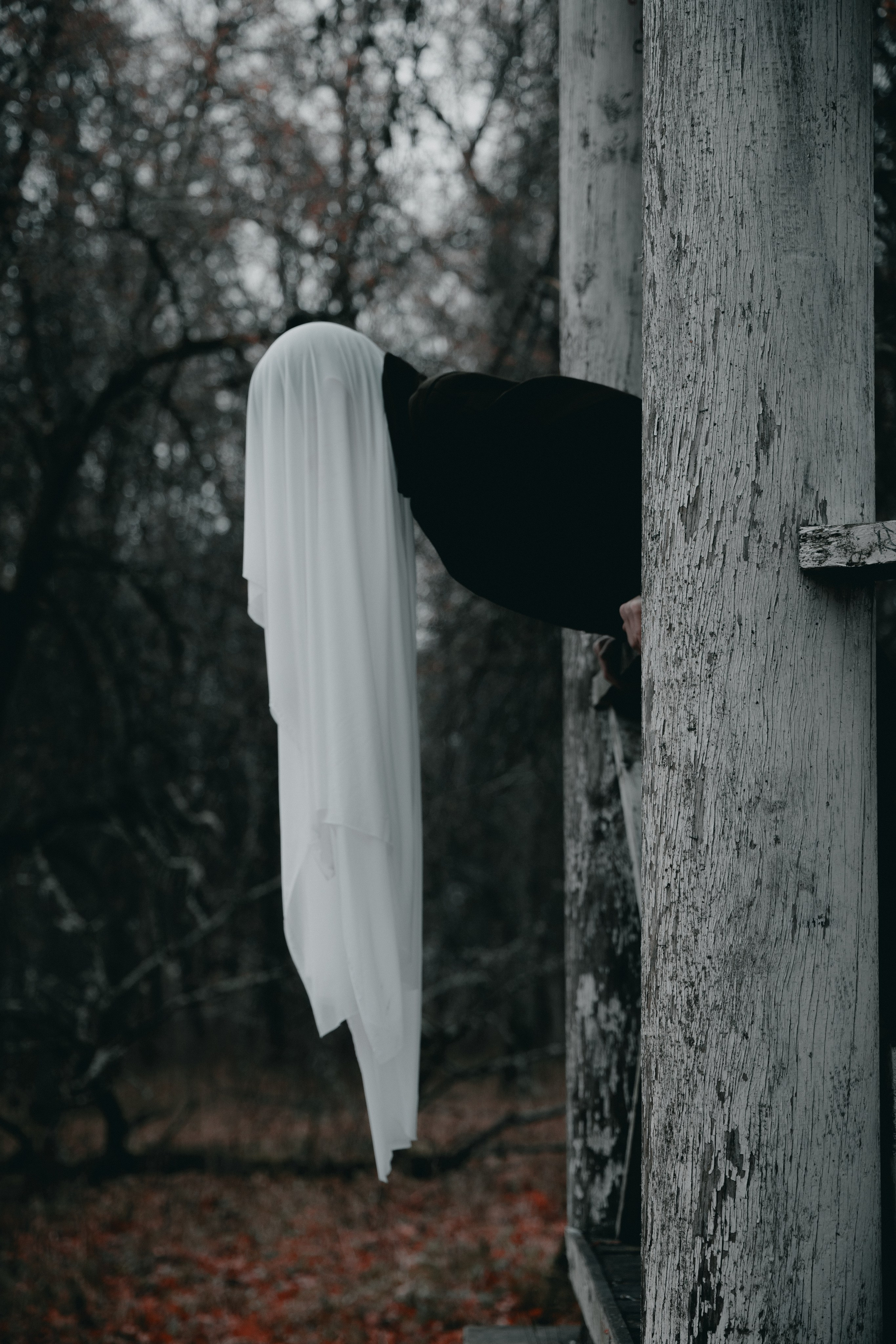 IVAN MESHCHERYAKOV. Фотограф