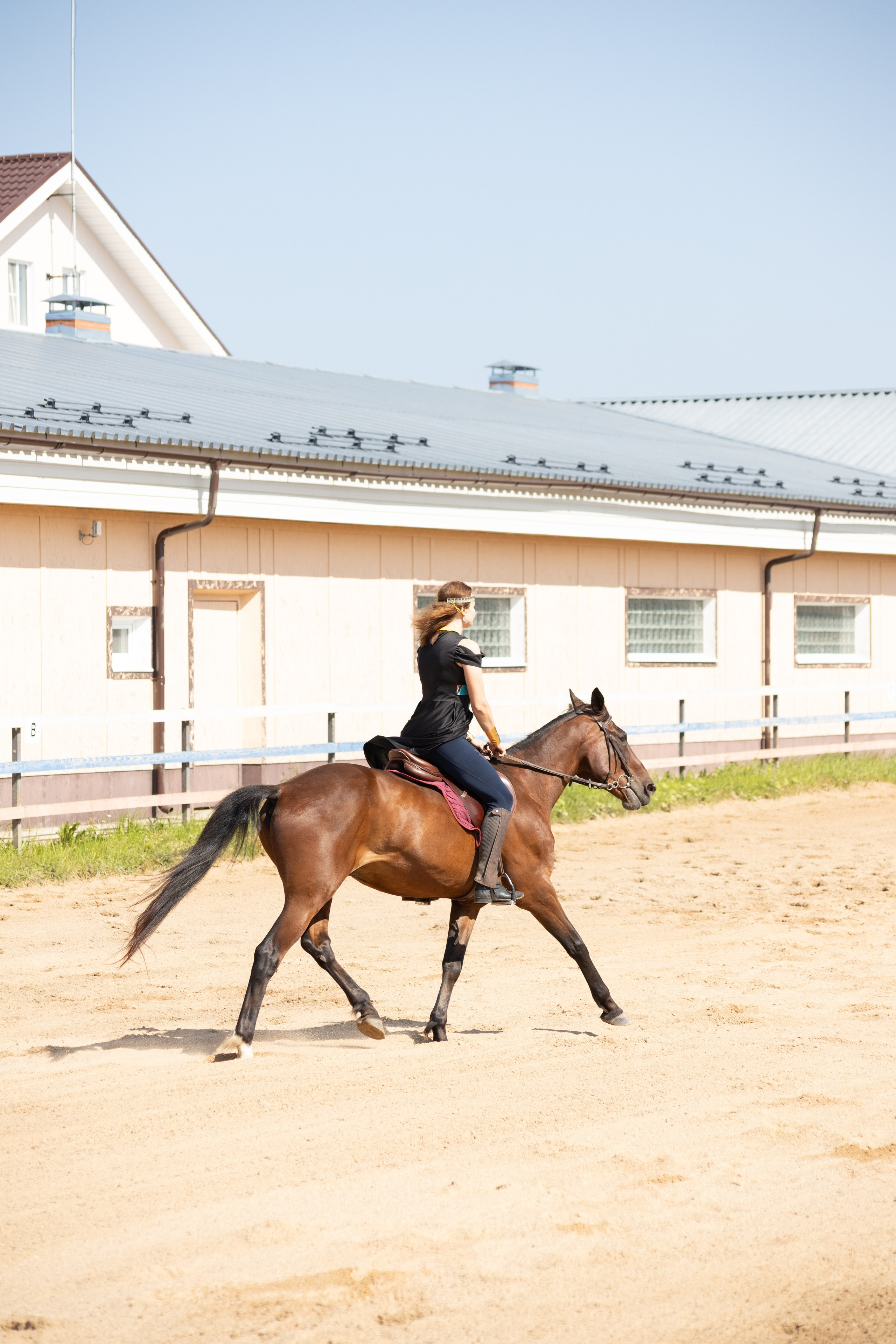 Конюшня. Фотограф в Москве и Истре