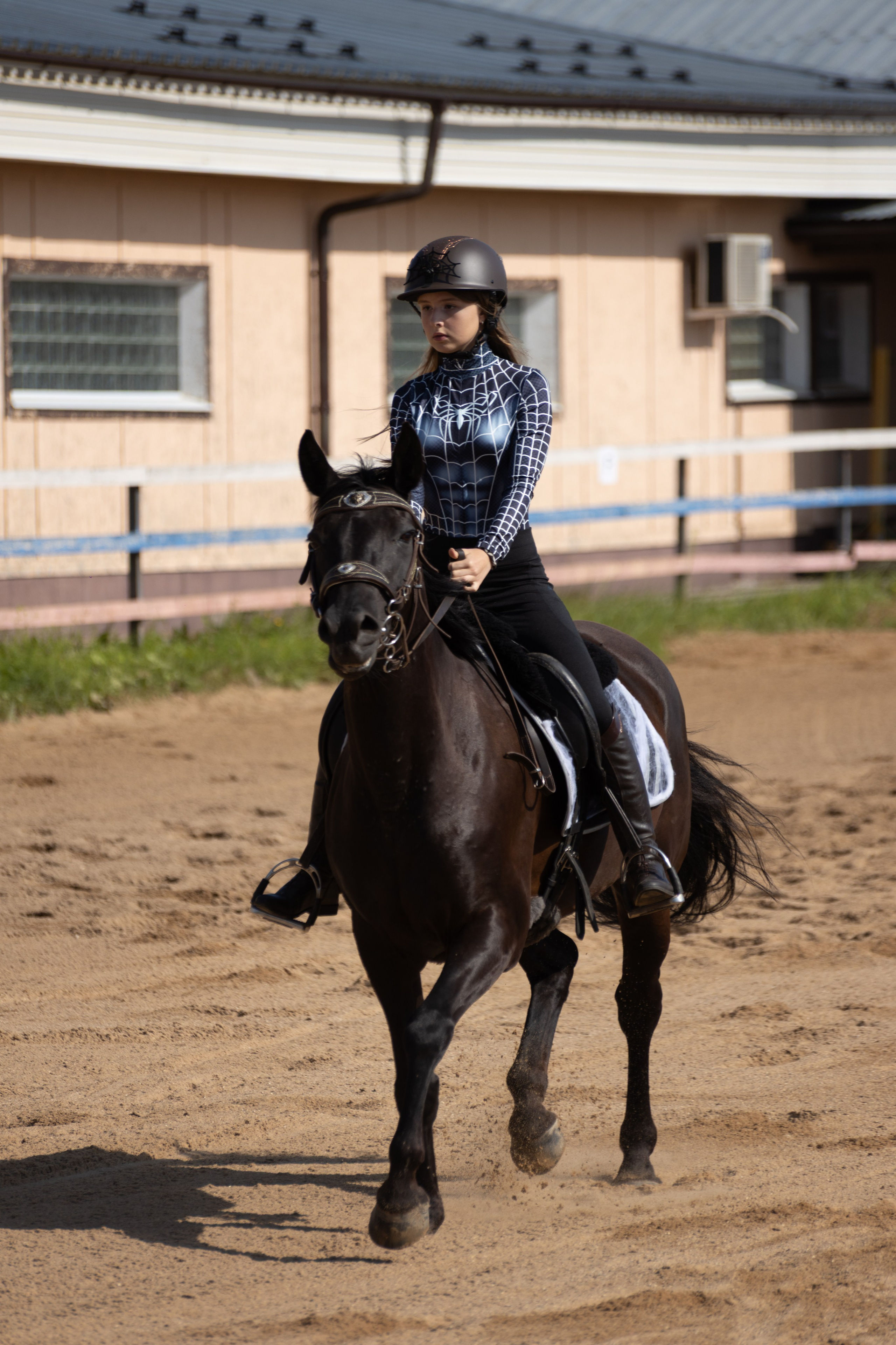 Конюшня. Фотограф в Москве и Истре
