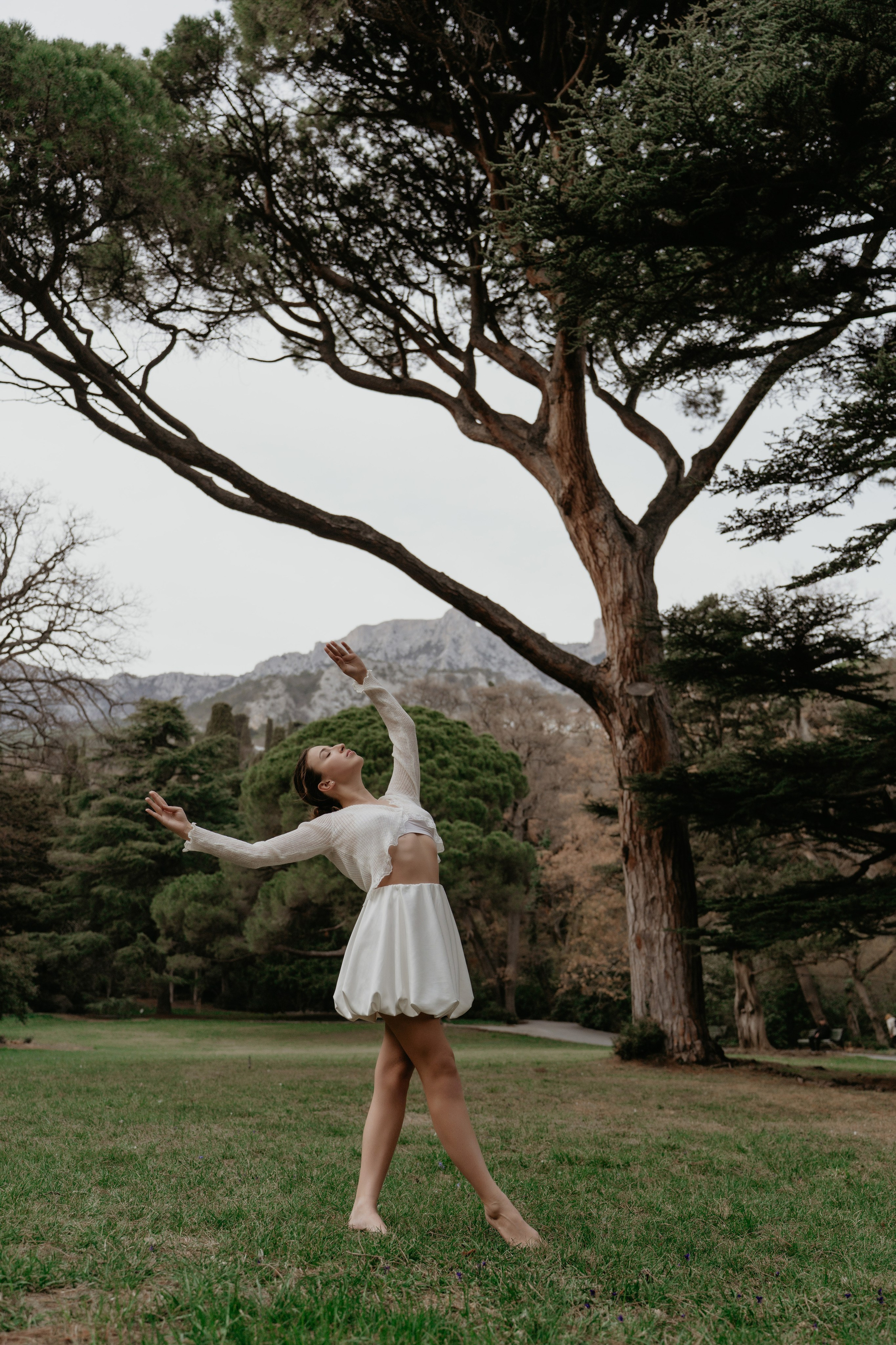 Под кроной вечности. Фотограф и Видеограф Севастополь Крым