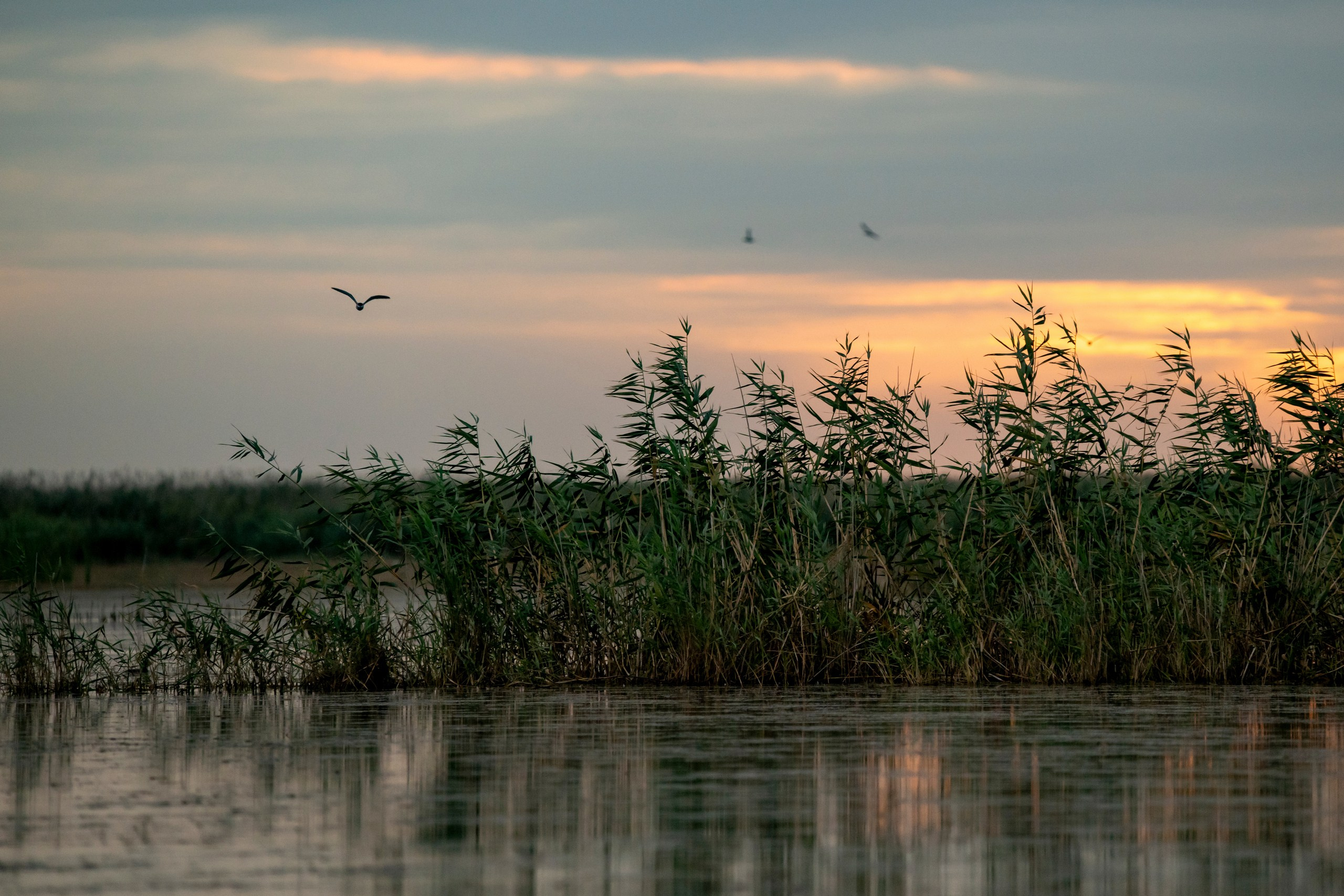 Природа Дагестана, сентябрь 2024. Foto-Zuev фотография как искусство