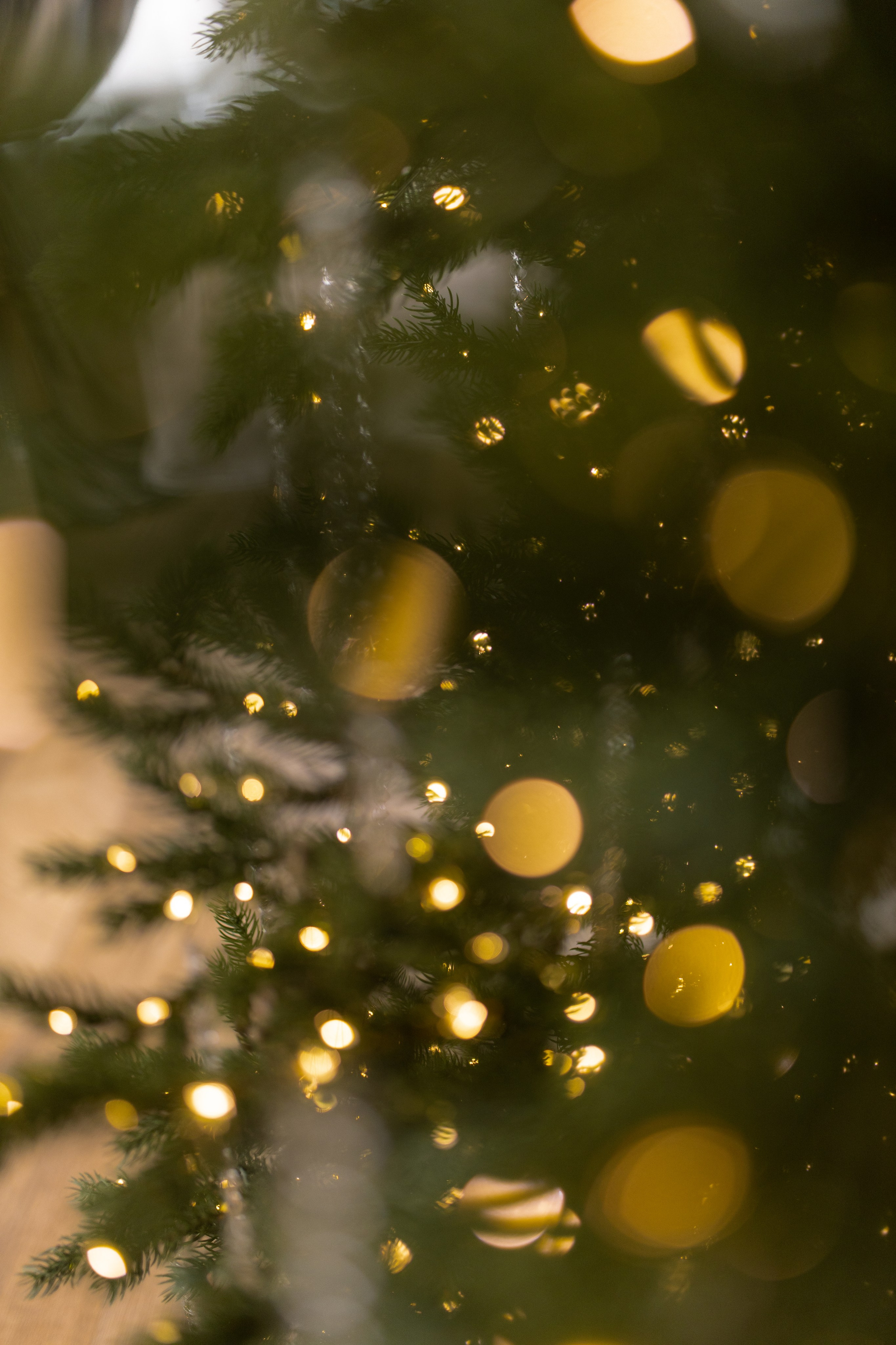 Большой зал с циклорамой. Семейный и детский фотограф в Туапсинском районе Кузьмичёва Светлана