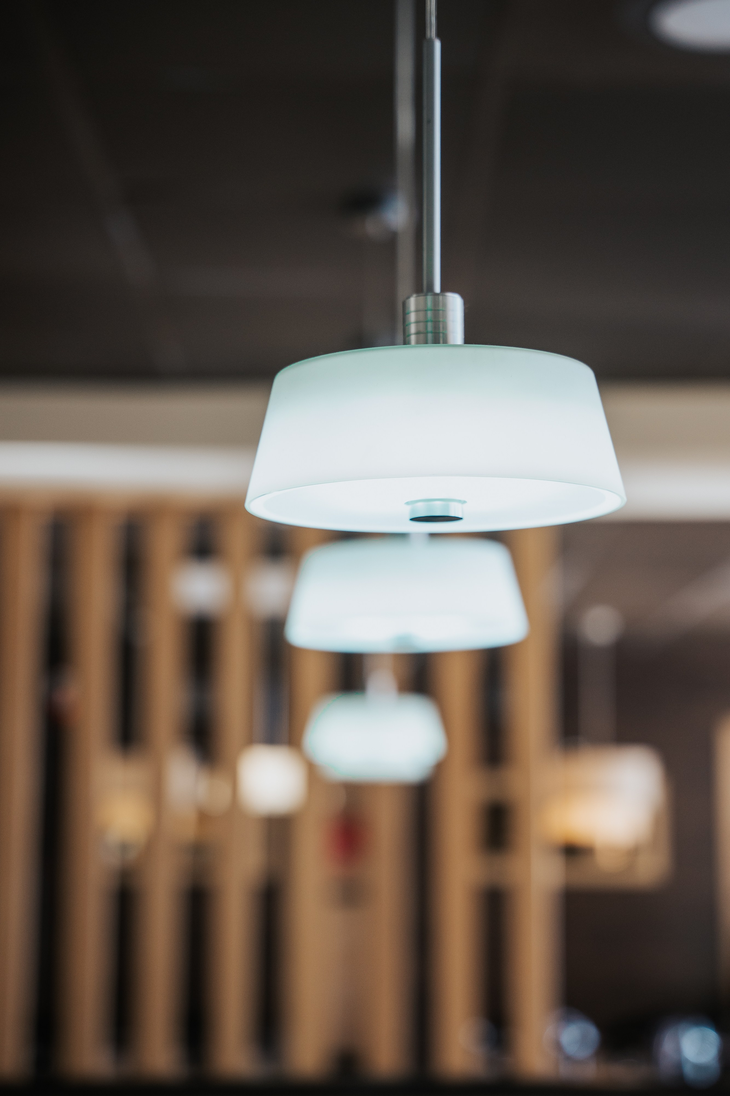 Синьор Помидор. Фотограф Хабаровск