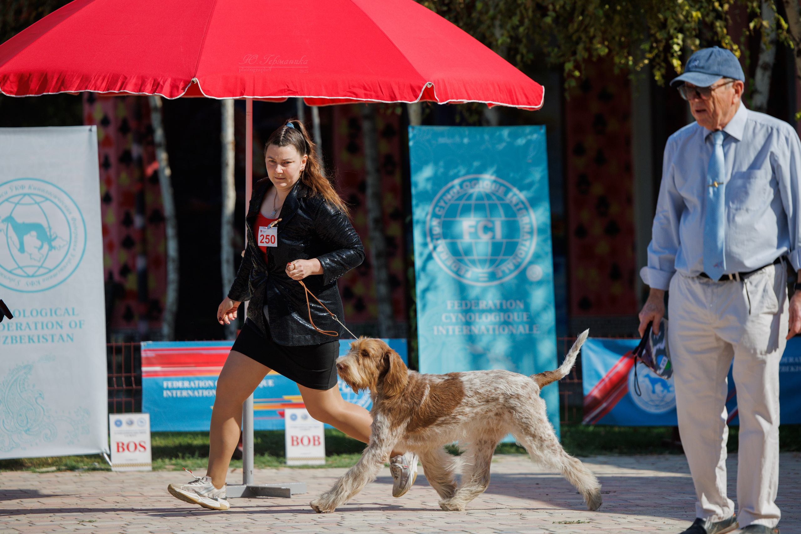 Ташкент 3хCACIB 3-5.10.2025. Фотограф-анималист Юлия Германика