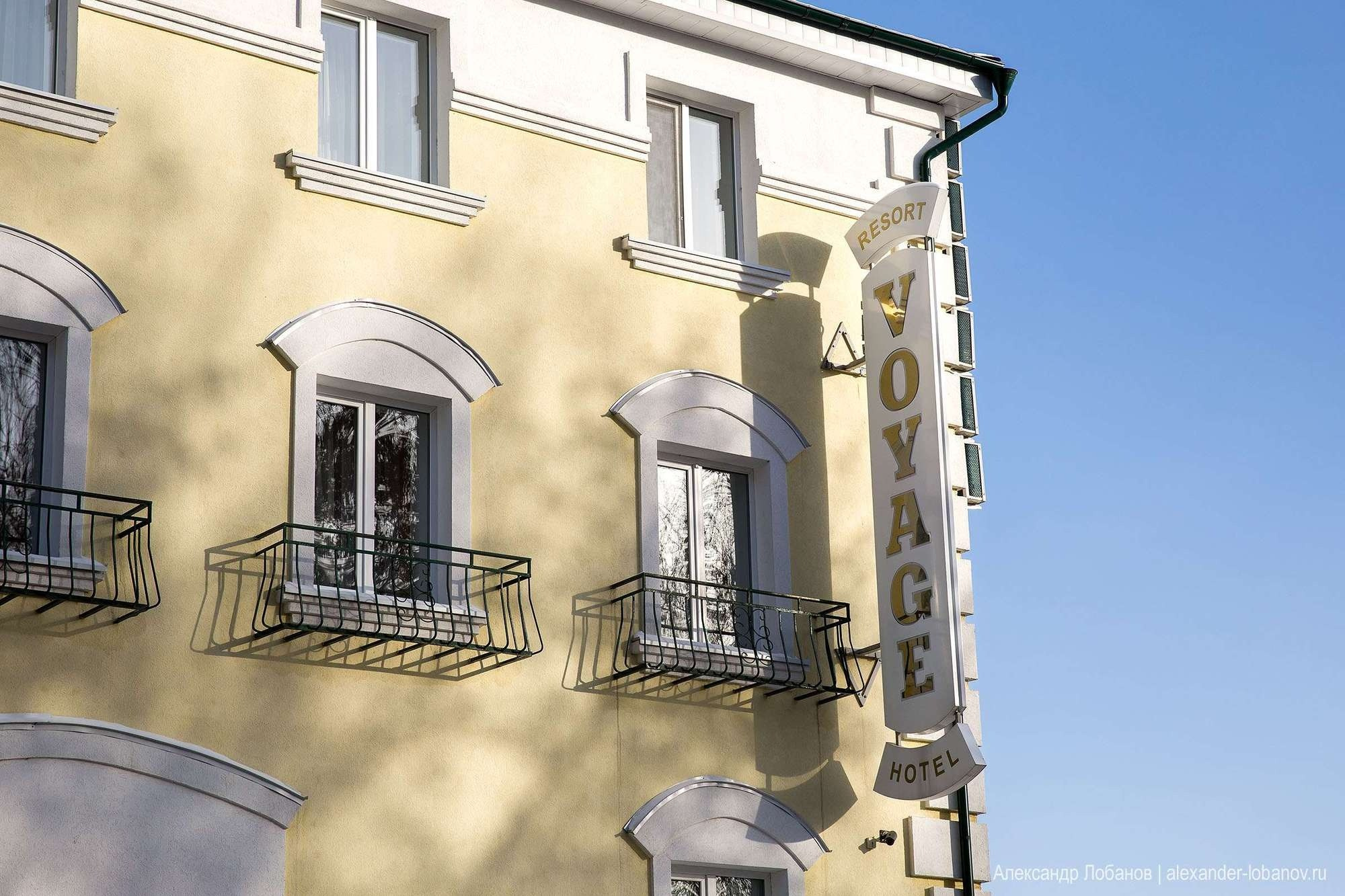 СВАДЬБА. ДМИТРИЙ И АННА