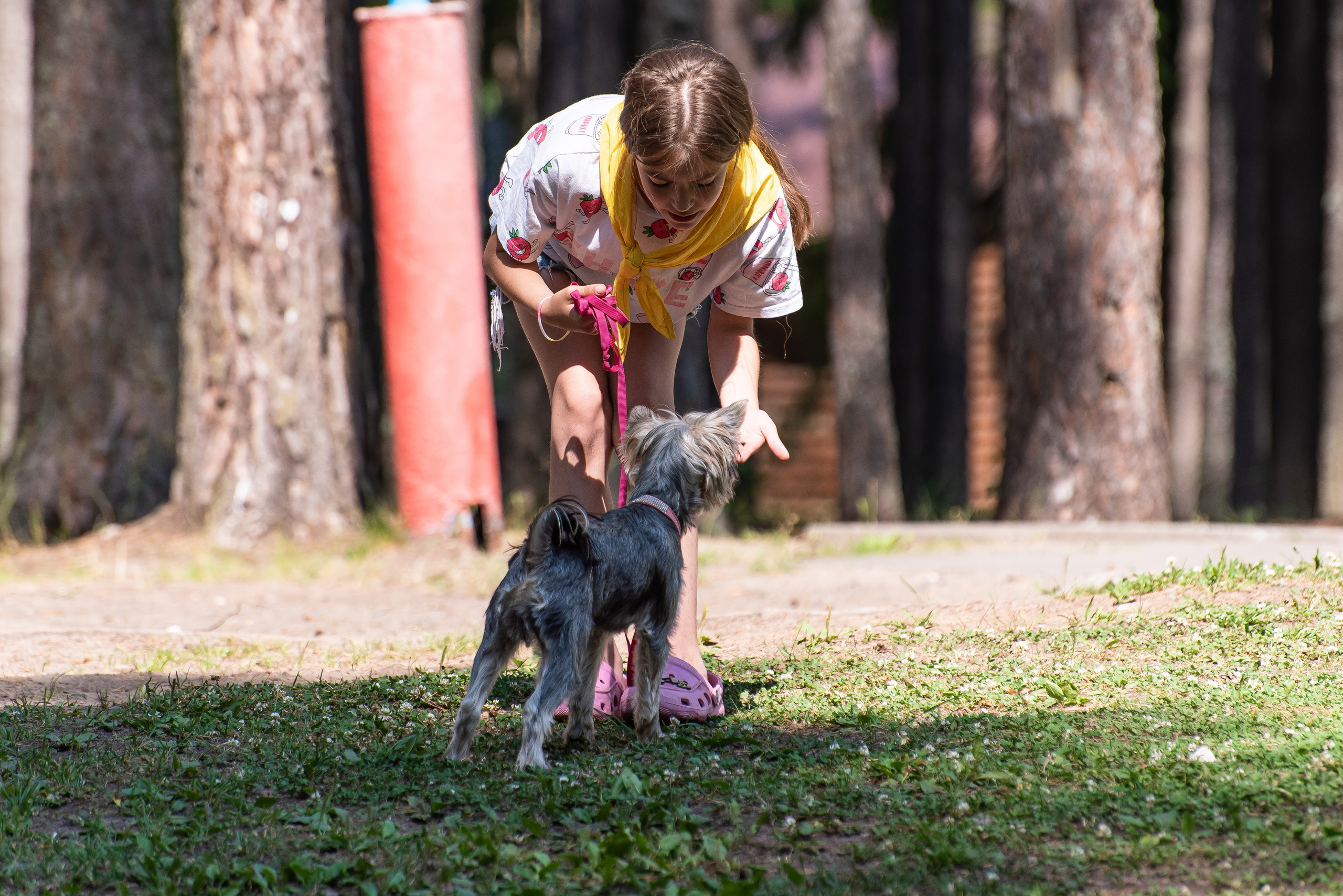 Хвостатые каникулы Детский кинологический лагерь. Фотограф Макс Огурцов в Нижнем Новгороде