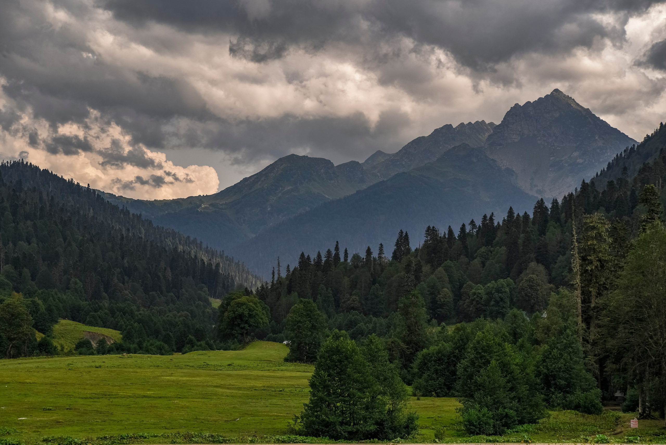 Goblincore, природа, фэнтези, нечисть, лес, гоблинкор, эльфы, фотосессии, костюмированные