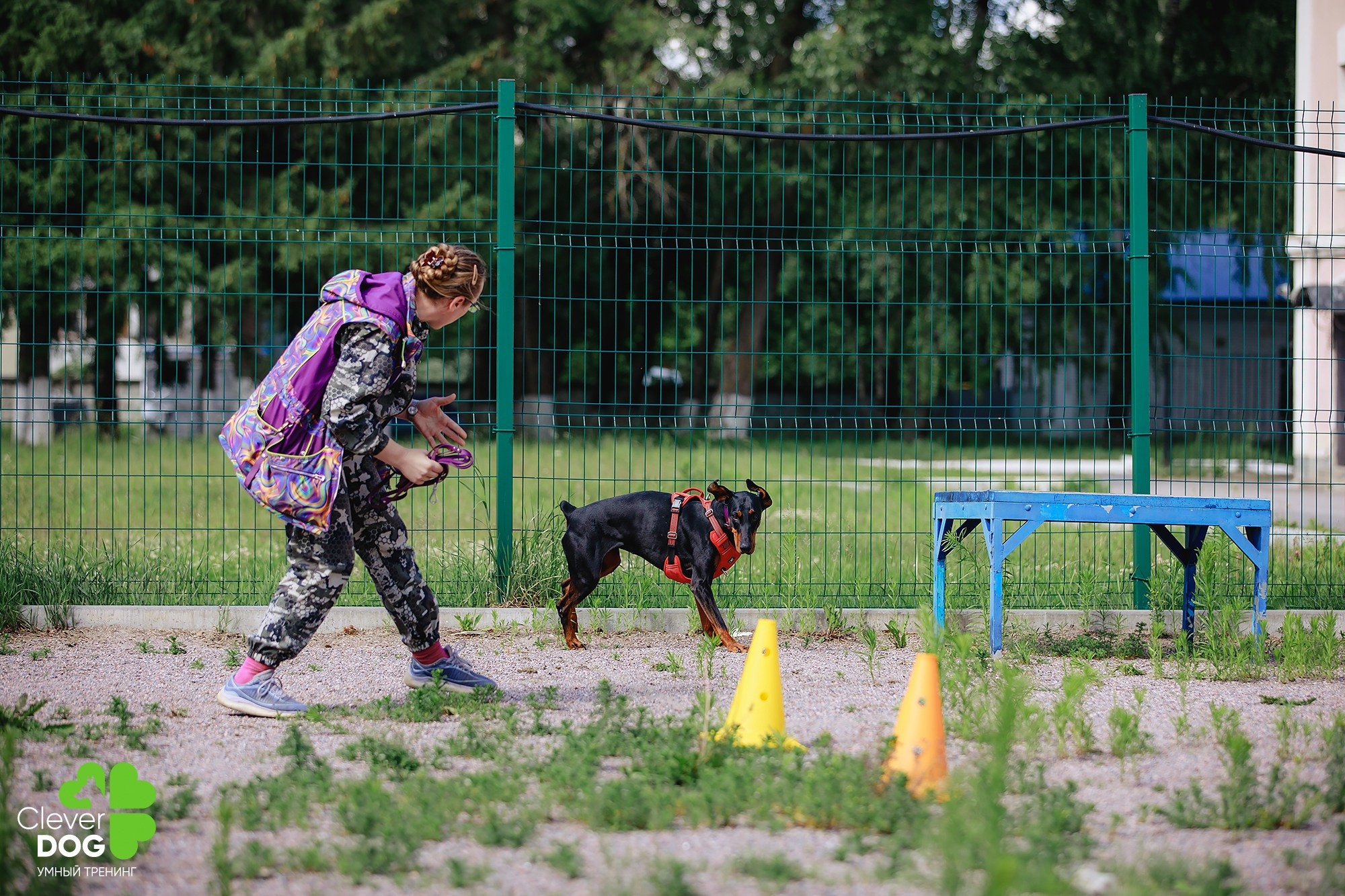 Семинар по поиску запаха с Иваном Ломовым, организатор CleverDog, СПб. Фотограф-анималист Mary Mart — Москва, Питер