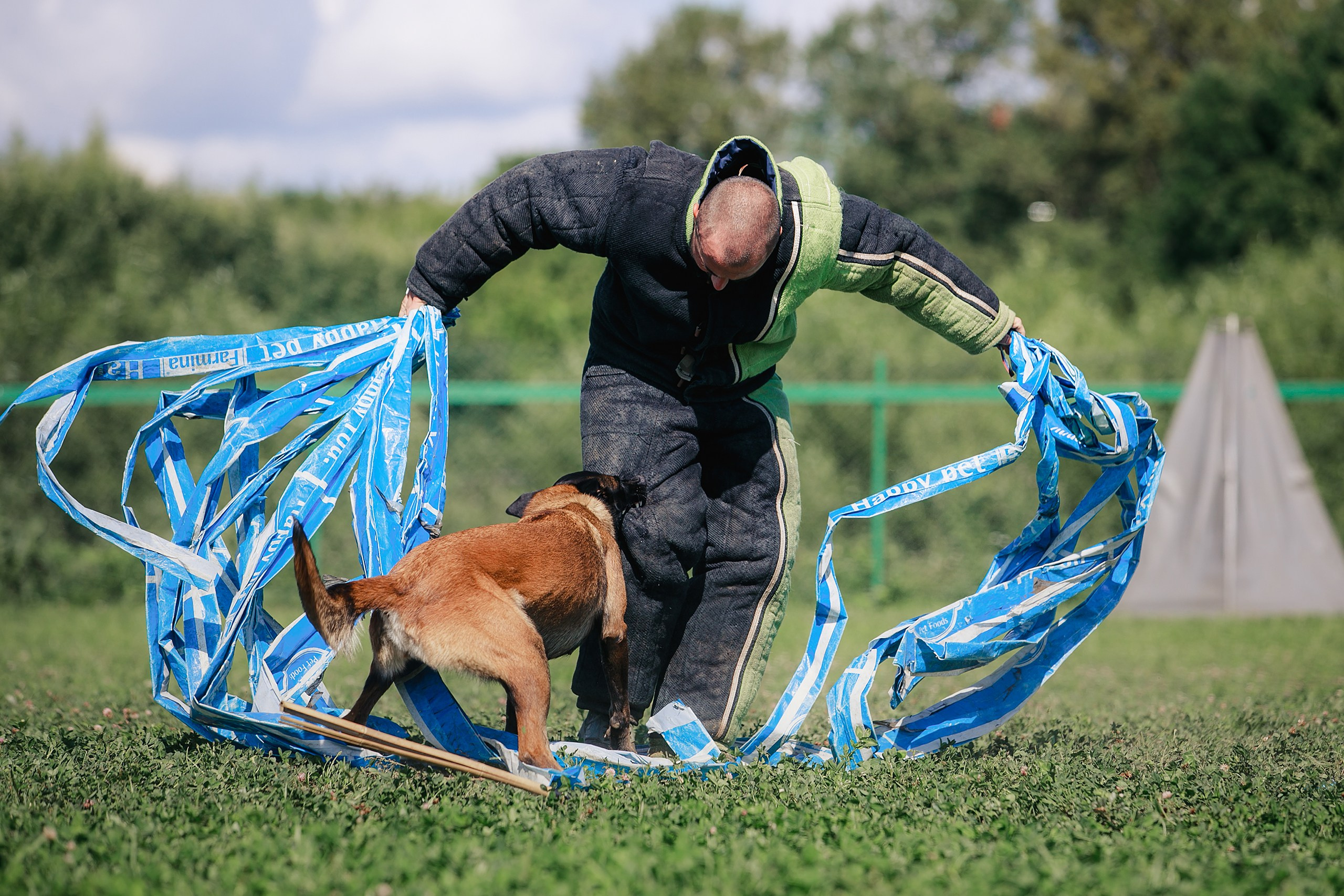 Мондьоринг М1, М2, М3, Вологда. Фотограф-анималист Mary Mart — Москва, Питер