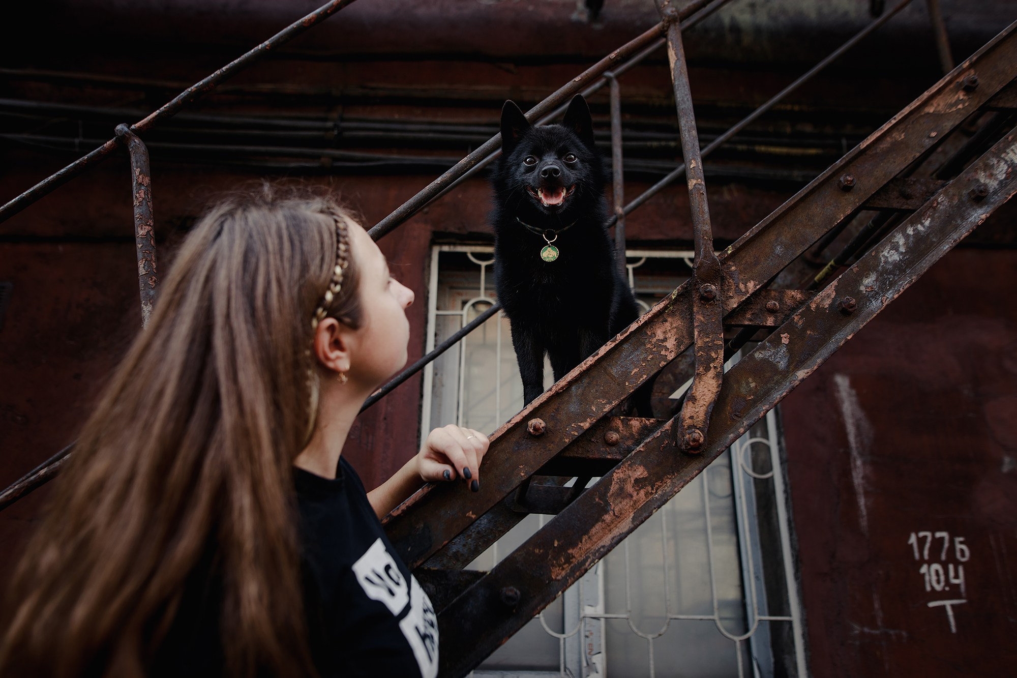 Саша, Маша и шипперке Йети. Фотограф-анималист Mary Mart — Москва, Питер