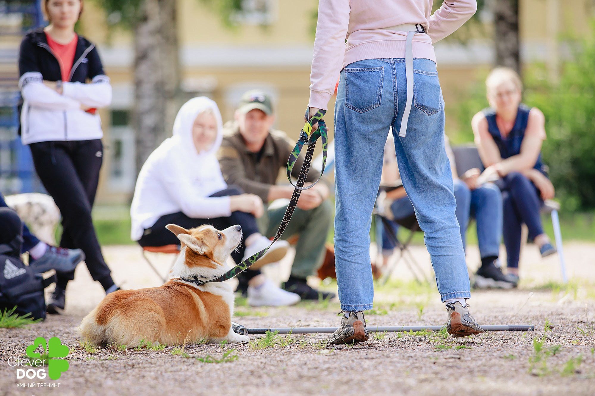 Семинар по поиску запаха с Иваном Ломовым, организатор CleverDog, СПб. Фотограф-анималист Mary Mart — Москва, Питер