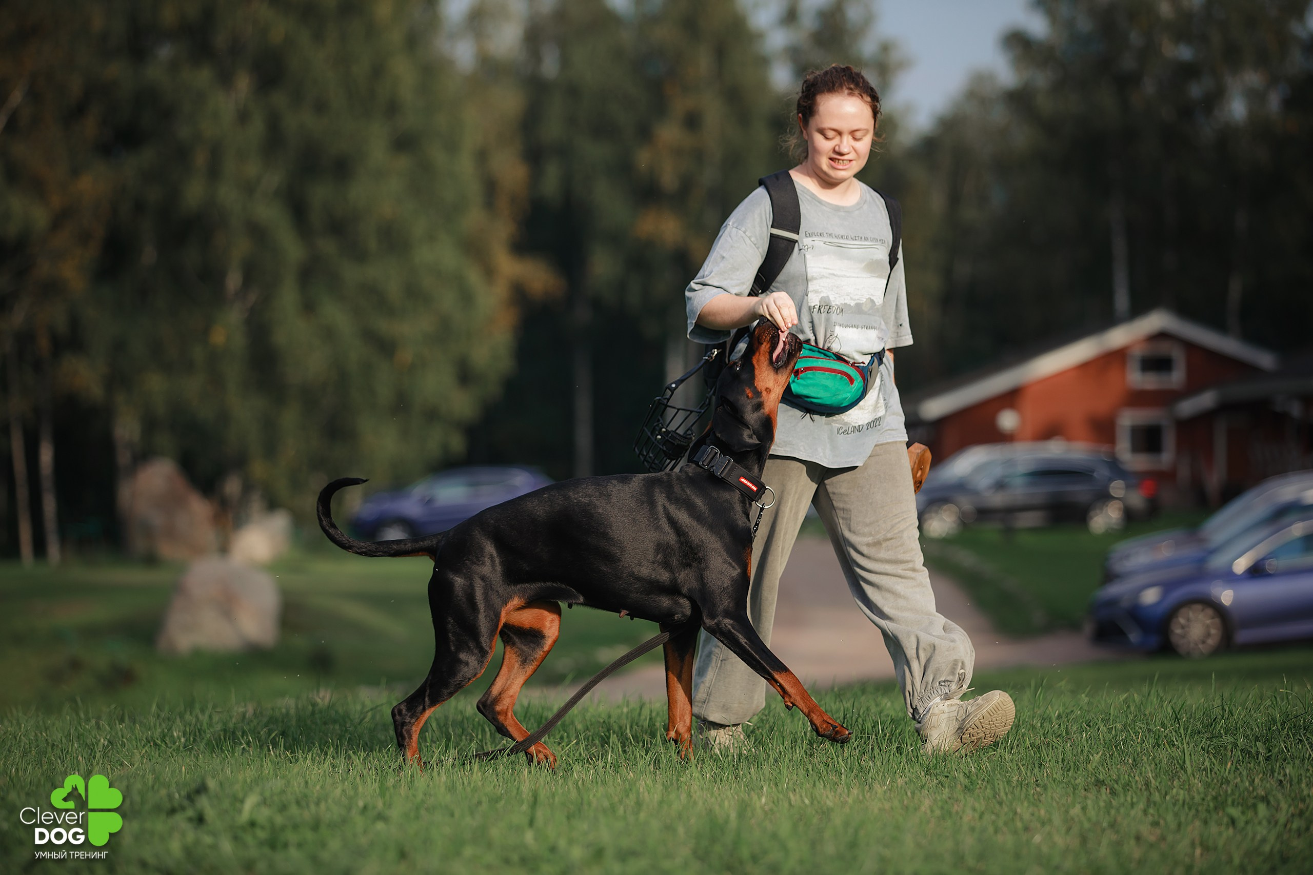 Кинологический лагерь CleverDog, 2024. Фотограф-анималист Mary Mart — Москва, Питер