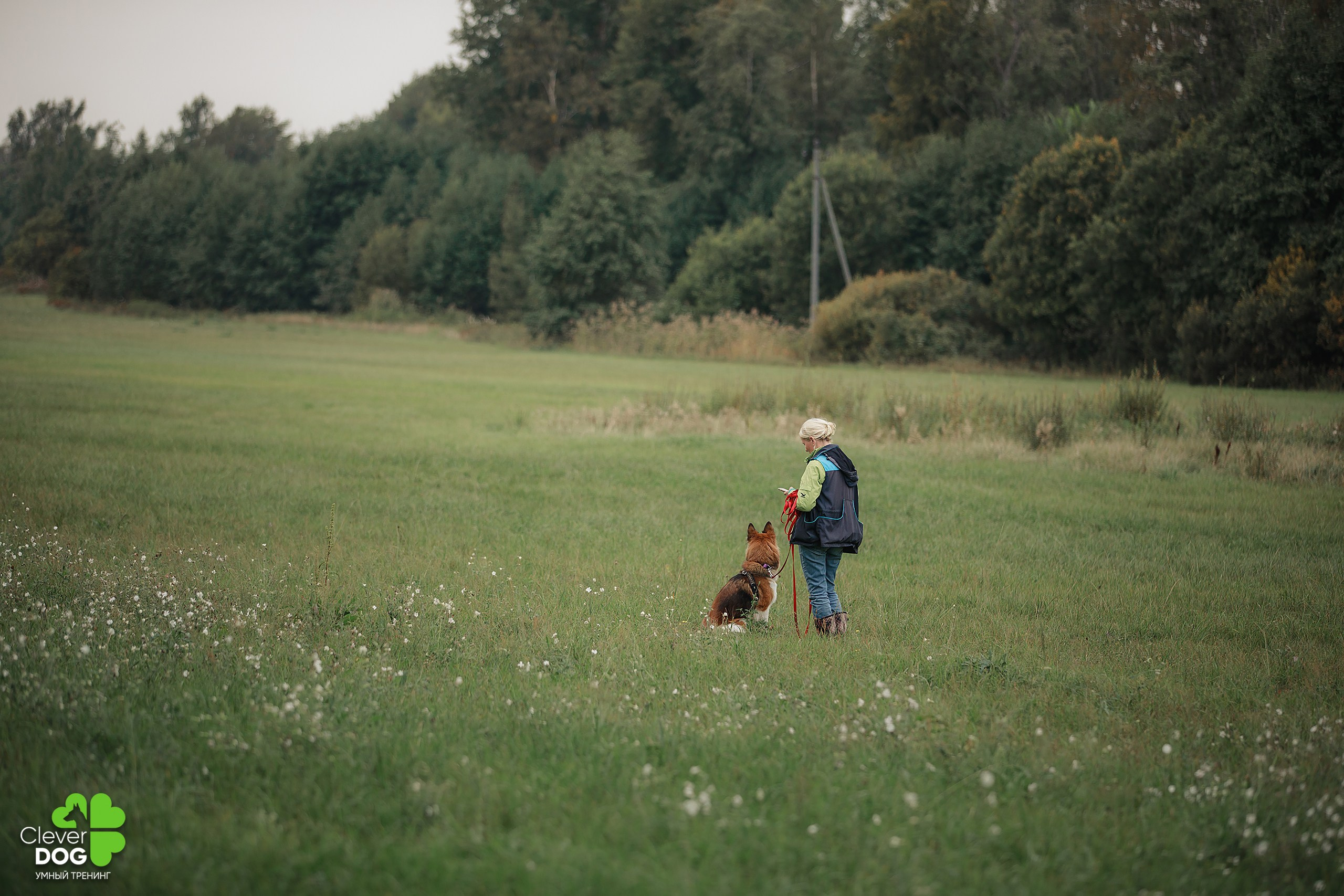 Кинологический лагерь CleverDog, 2024. Фотограф-анималист Mary Mart — Москва, Питер