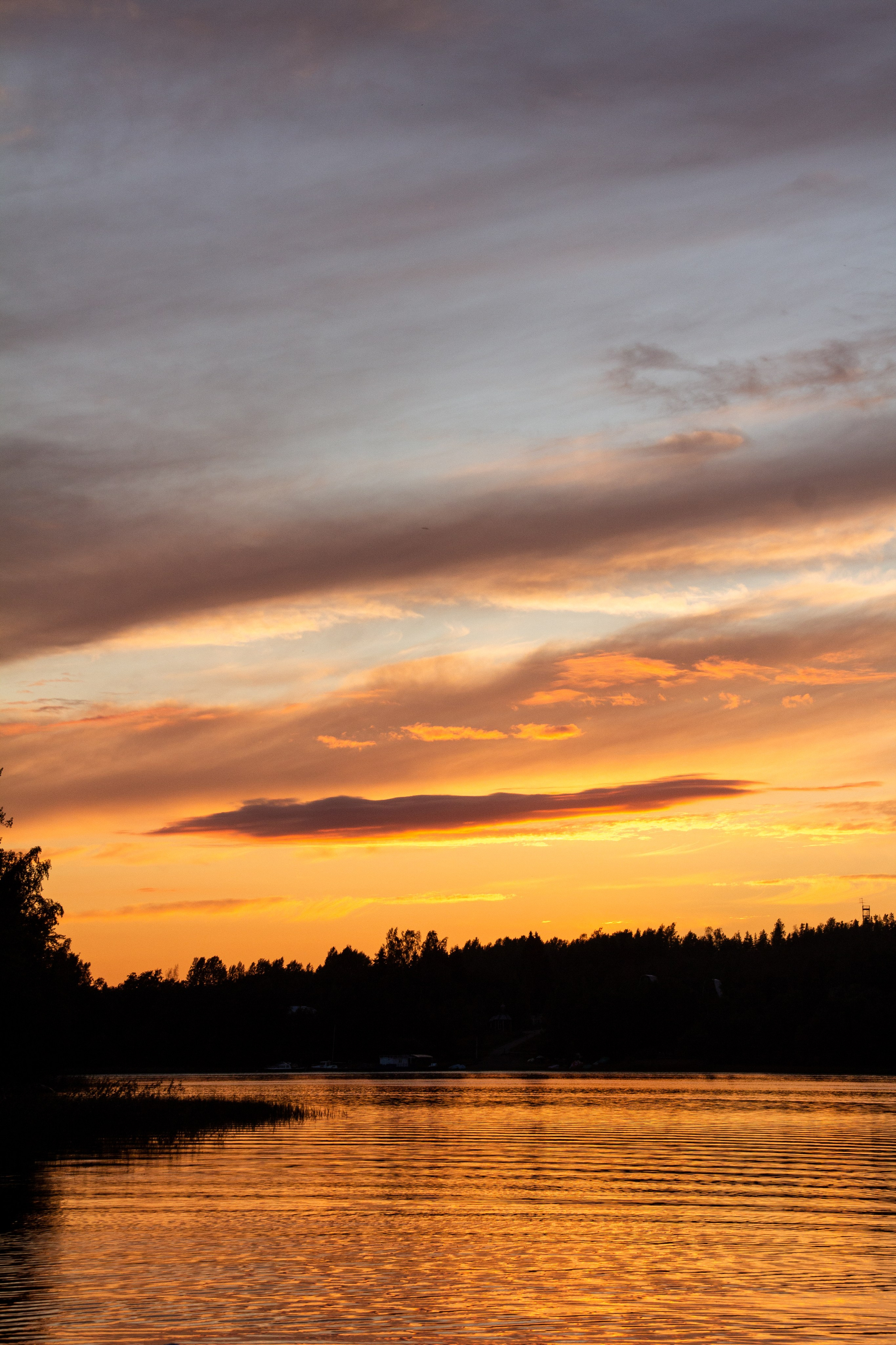 Природа. Фотограф Котий Даниил