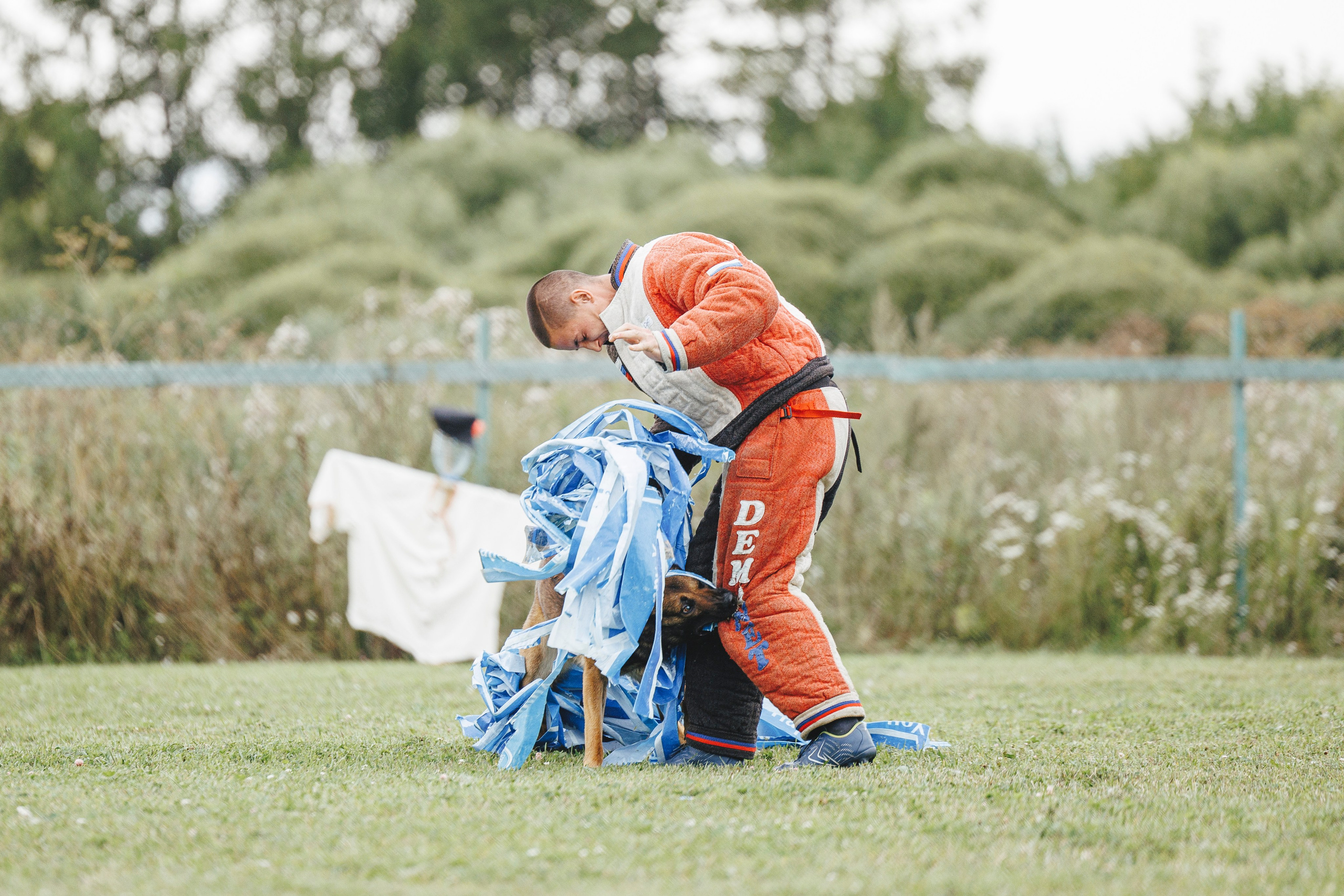08.08.25-10.08.25 ЧР по мондьорингу г. Вологда. Фотограф-анималист Анна Маринич