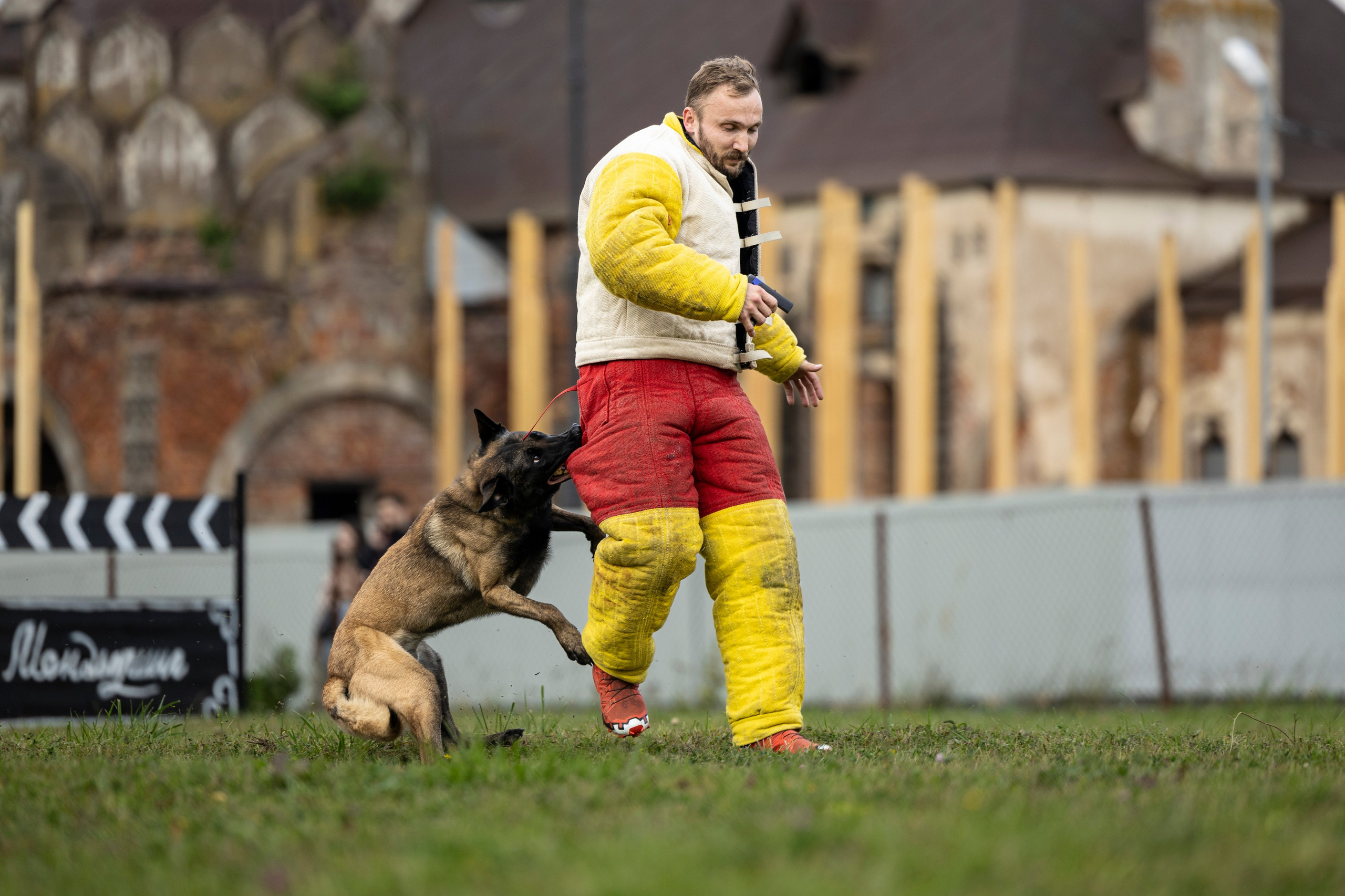 Испытания по Мондьорингу г. Пушкин. Фотограф-анималист Анна Маринич
